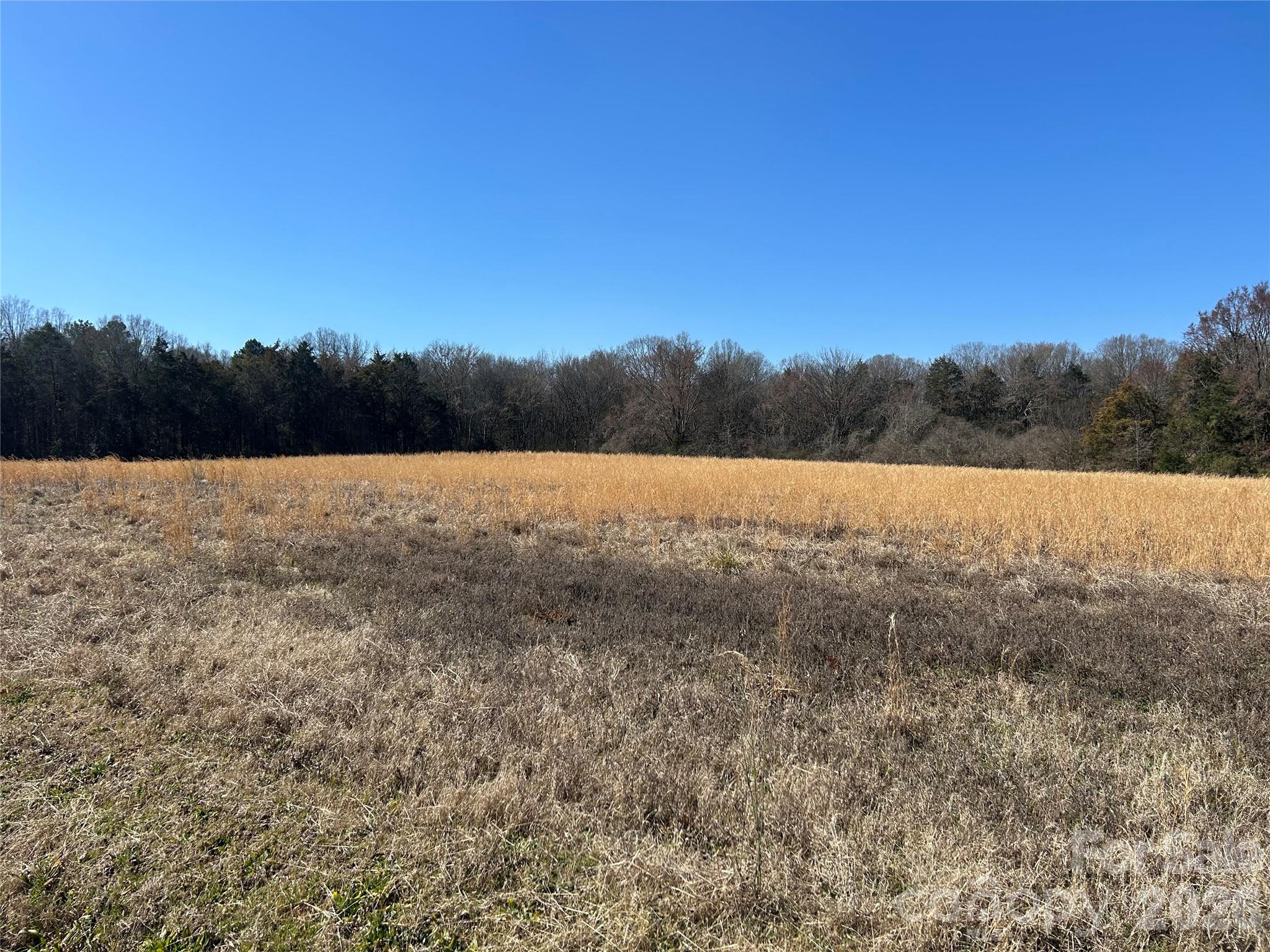 Acreage at 62 Ac Bridgewater Road, Rock Hill, photo 7 of 45