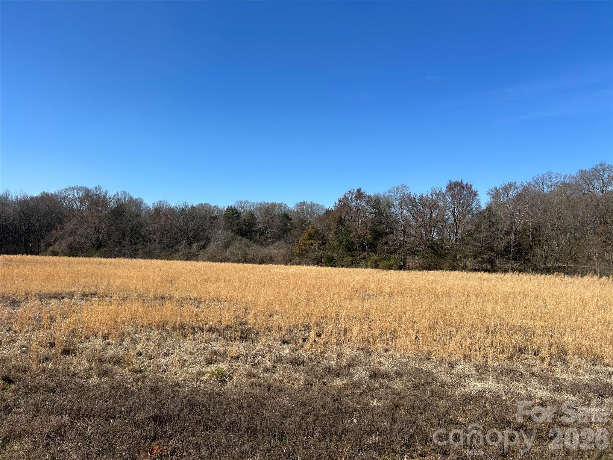 Acreage at 62 Ac Bridgewater Road, Rock Hill, photo 9 of 45