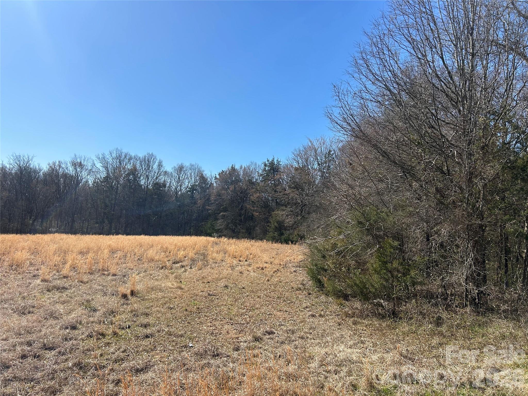Acreage at 62 Ac Bridgewater Road, Rock Hill, photo 11 of 45