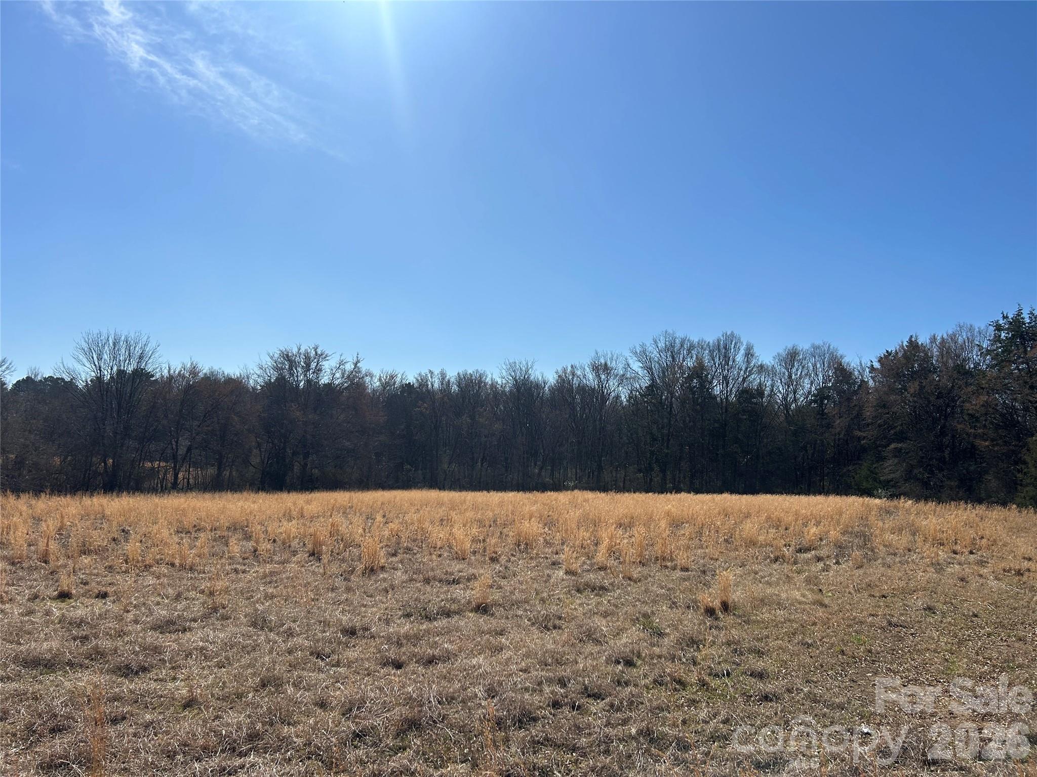 Acreage at 62 Ac Bridgewater Road, Rock Hill, photo 12 of 45