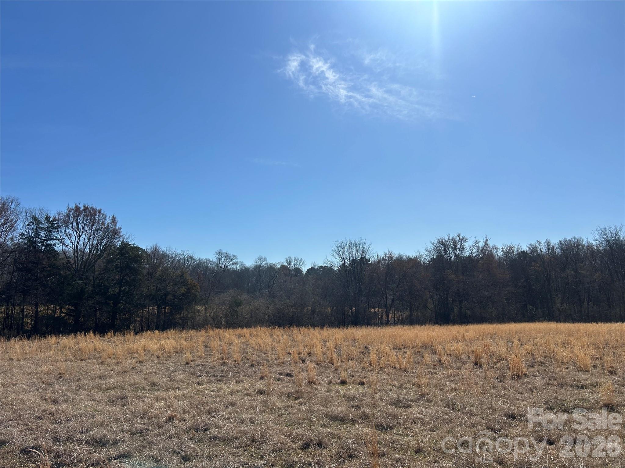 Acreage at 62 Ac Bridgewater Road, Rock Hill, photo 14 of 45