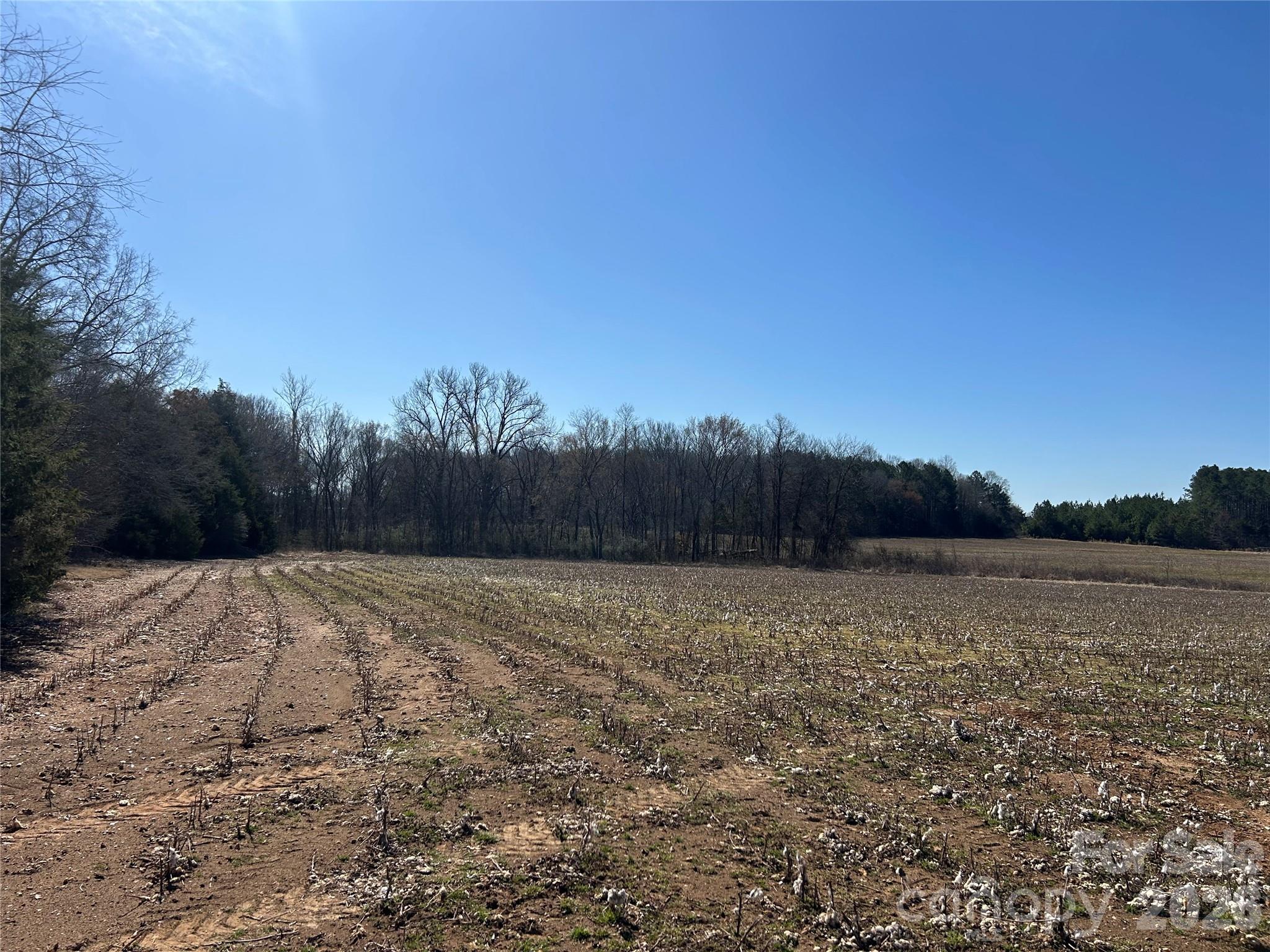 Acreage at 62 Ac Bridgewater Road, Rock Hill, photo 17 of 45