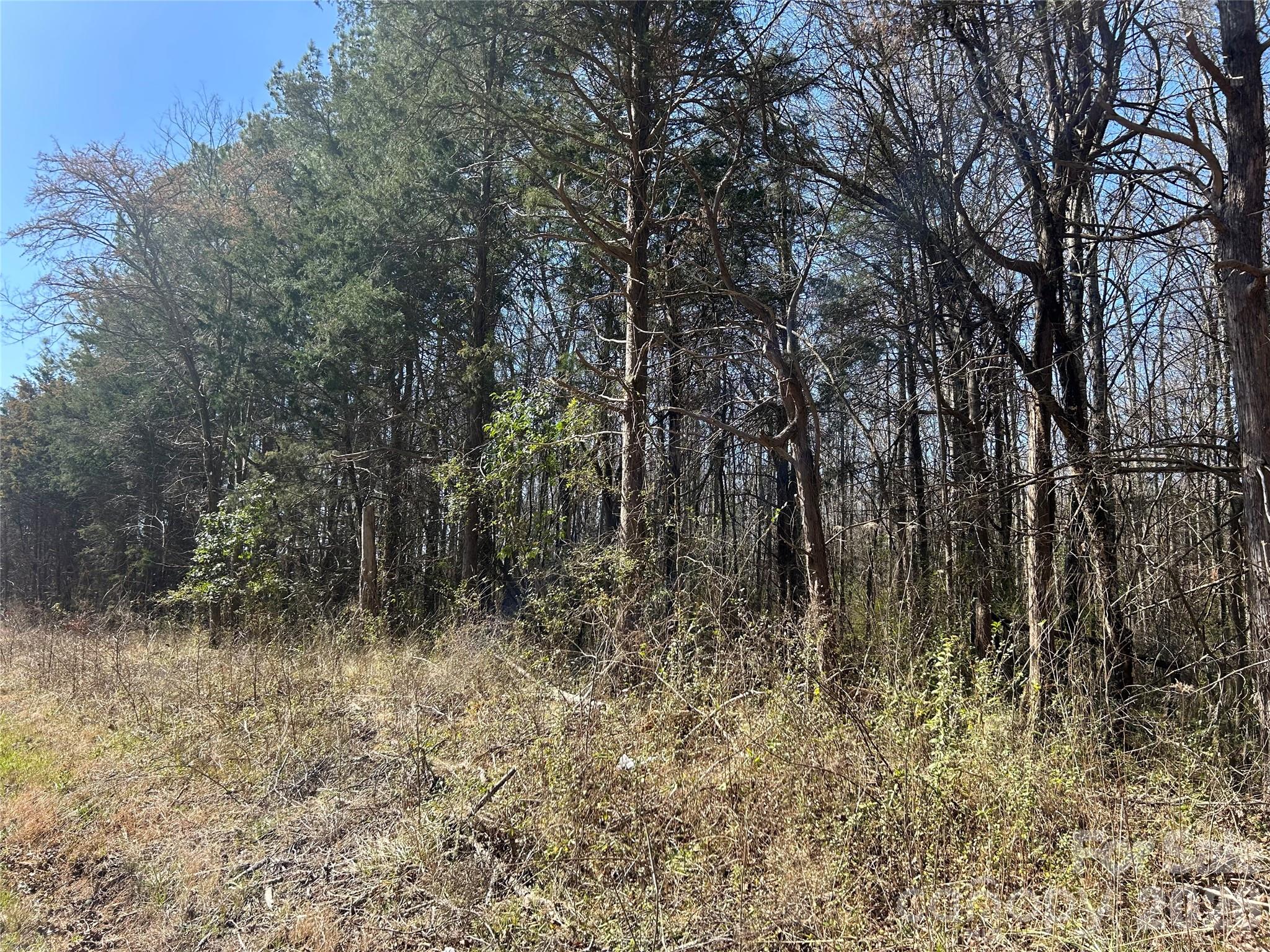 Acreage at 62 Ac Bridgewater Road, Rock Hill, photo 24 of 45