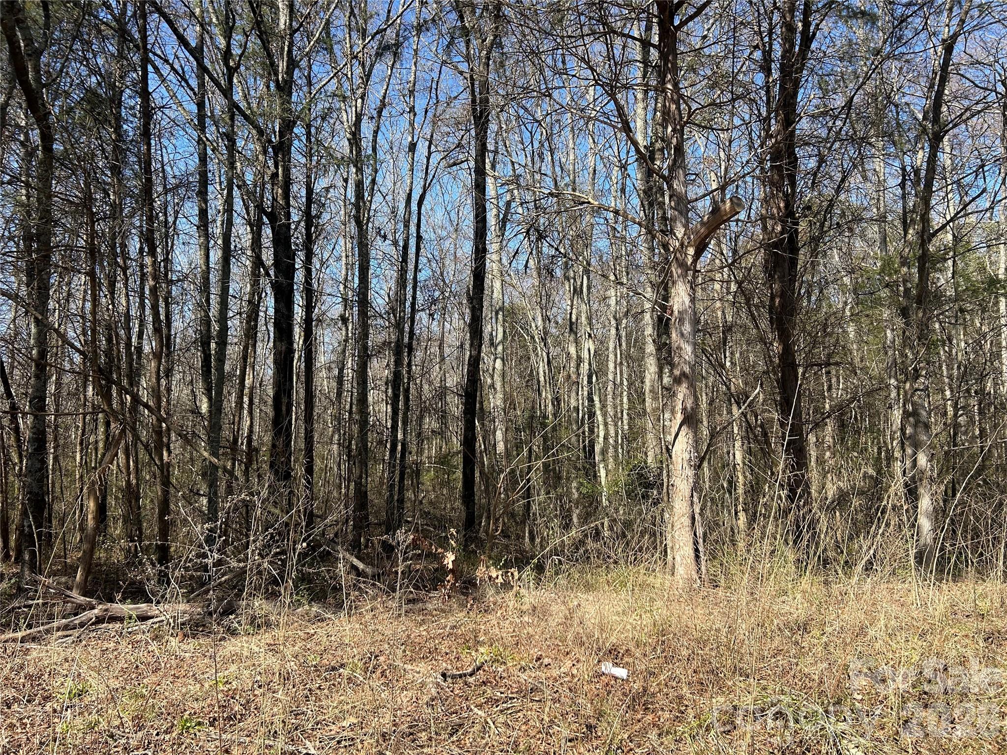 Acreage at 62 Ac Bridgewater Road, Rock Hill, photo 25 of 45