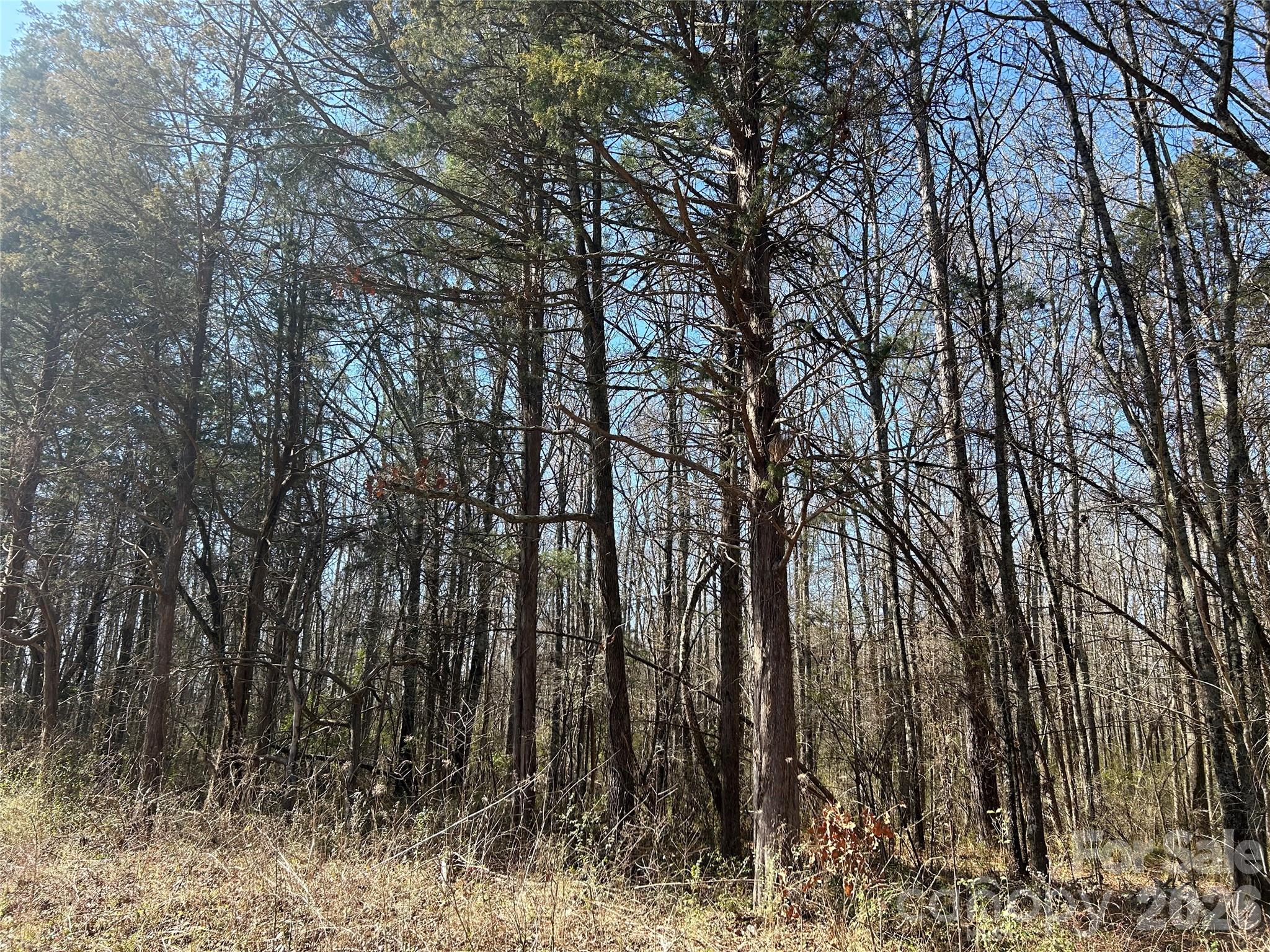 Acreage at 62 Ac Bridgewater Road, Rock Hill, photo 27 of 45