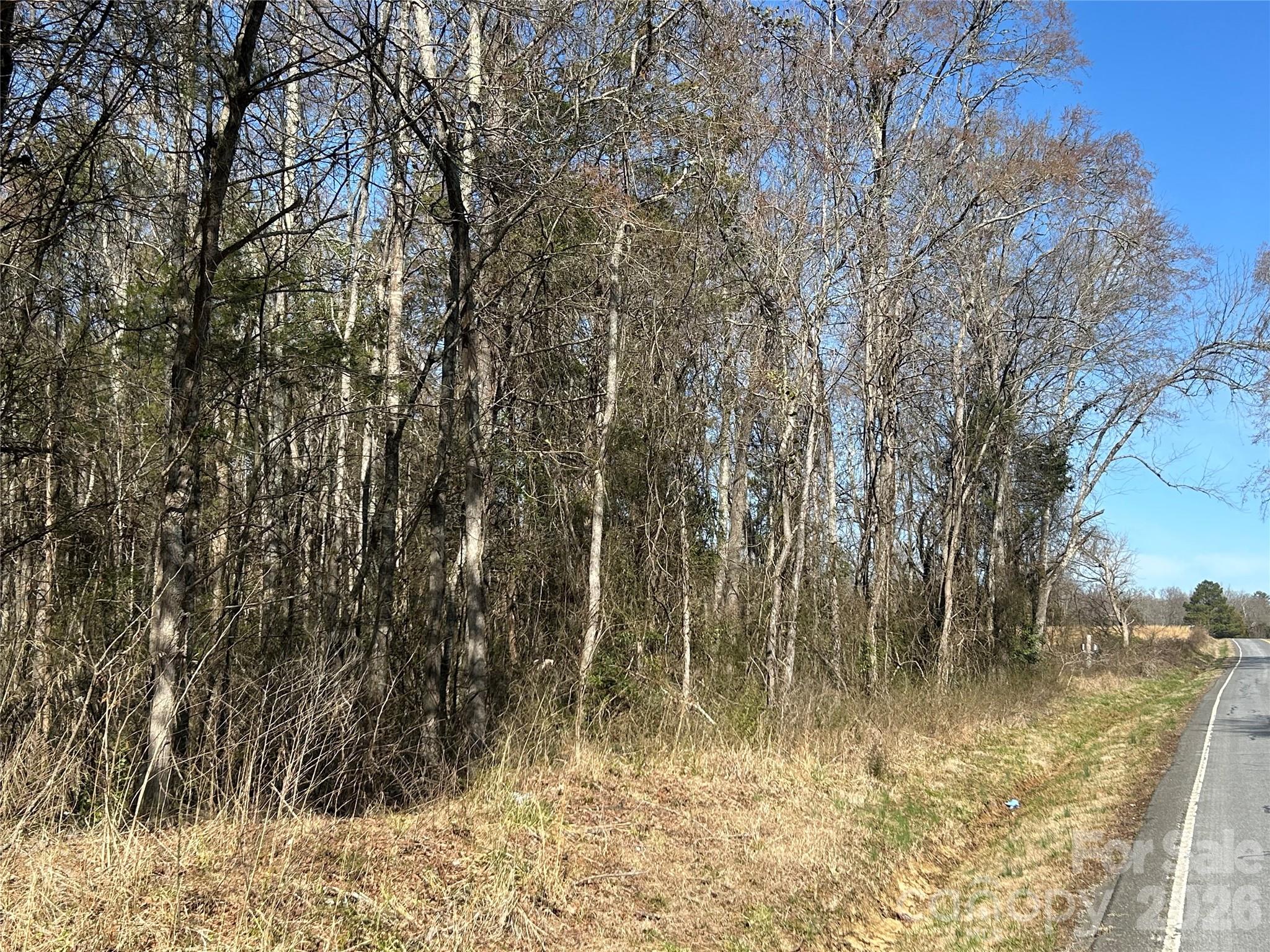 Acreage at 62 Ac Bridgewater Road, Rock Hill, photo 28 of 45