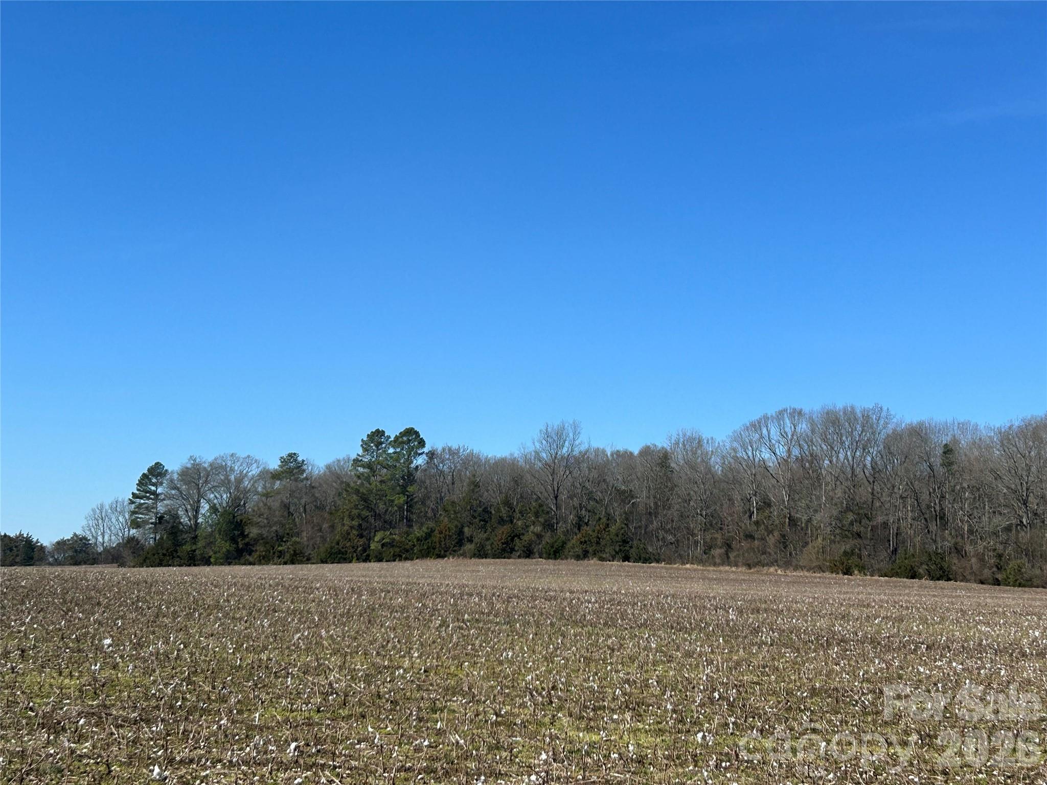 Acreage at 62 Ac Bridgewater Road, Rock Hill, photo 29 of 45