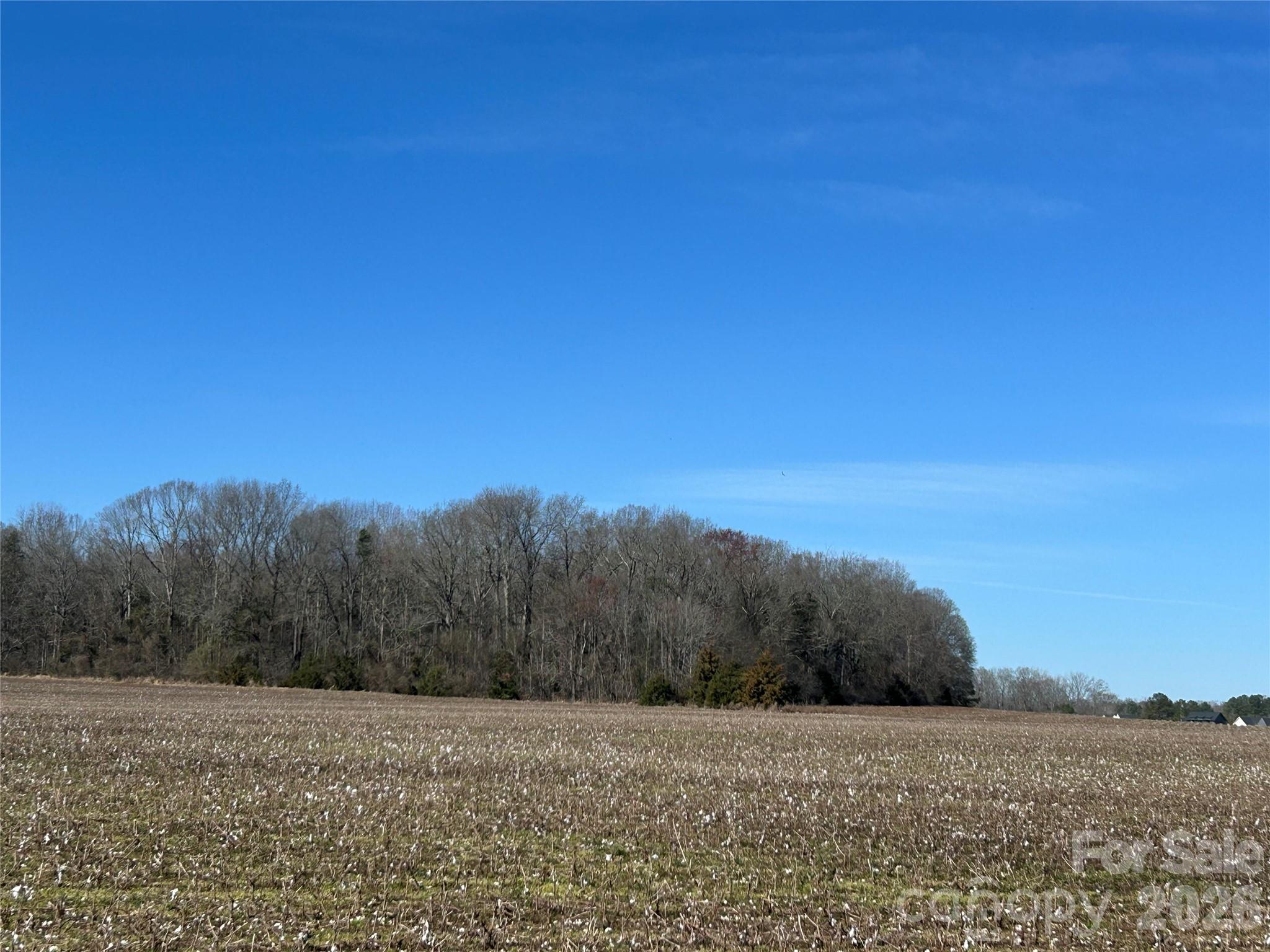 Acreage at 62 Ac Bridgewater Road, Rock Hill, photo 30 of 45