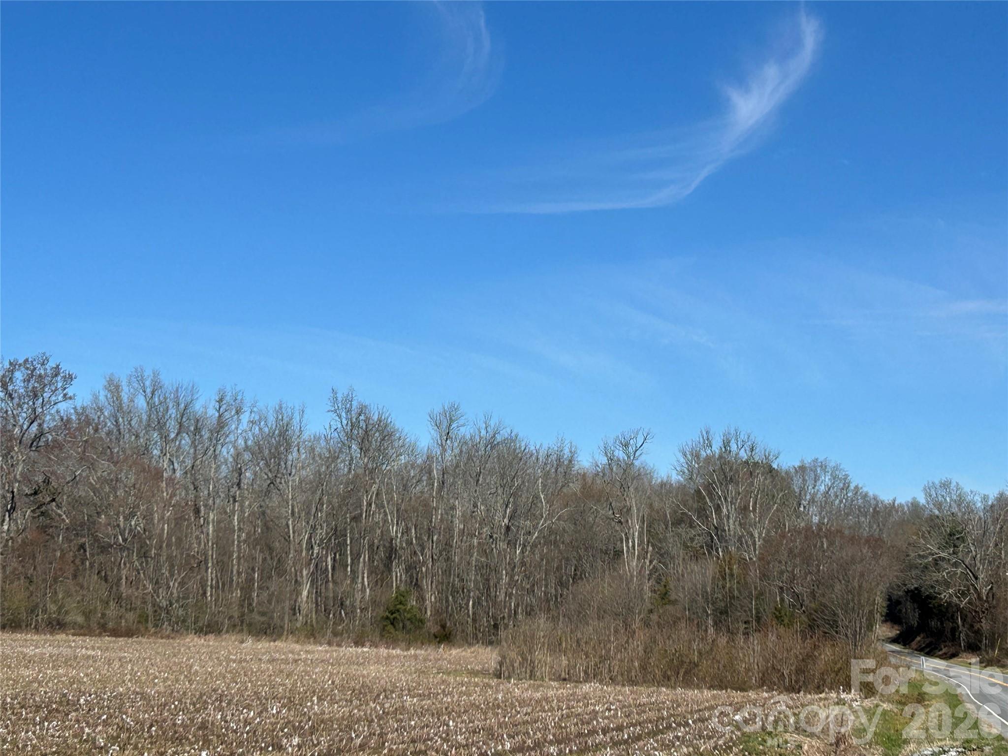 Acreage at 62 Ac Bridgewater Road, Rock Hill, photo 32 of 45