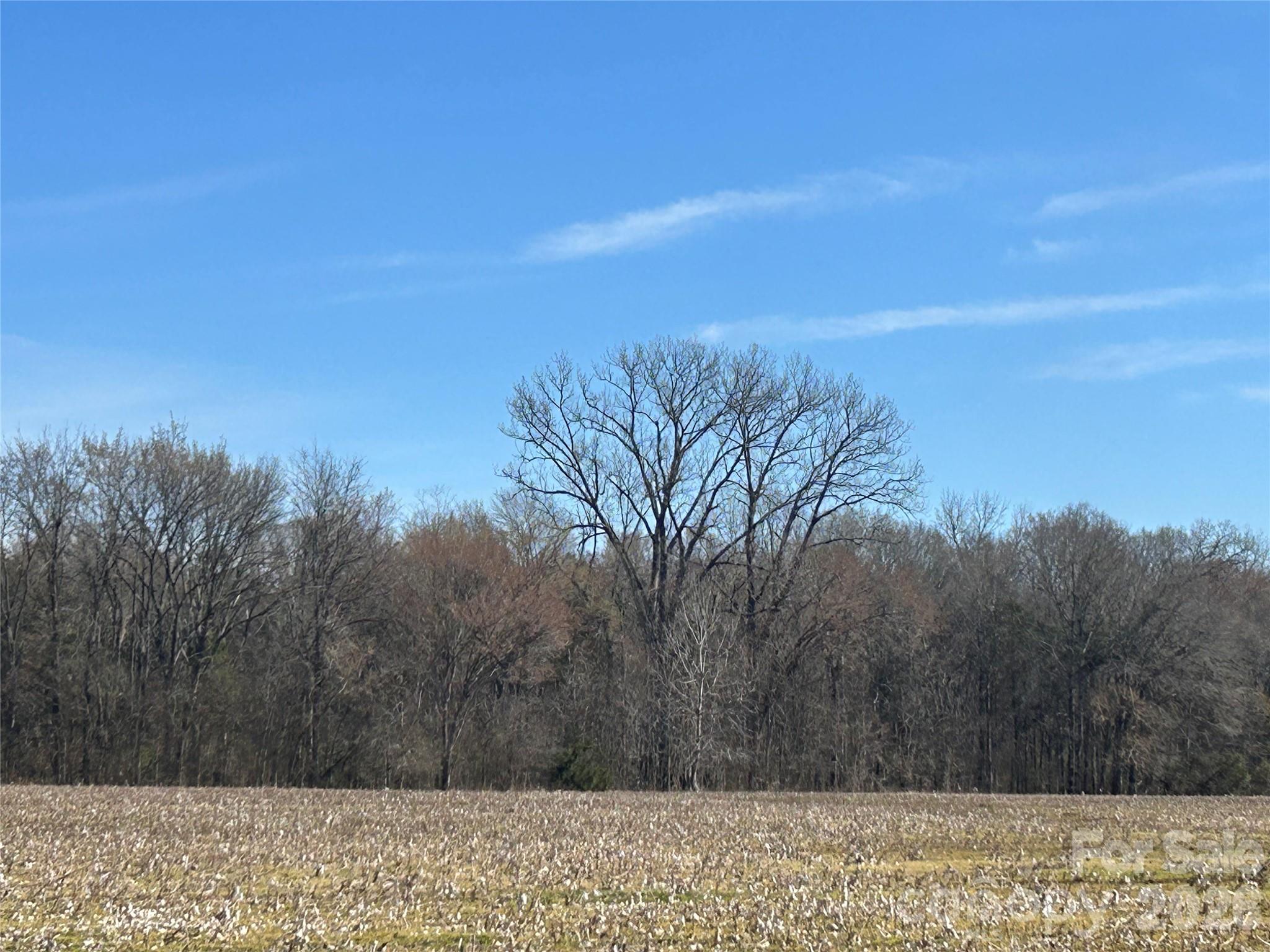 Acreage at 62 Ac Bridgewater Road, Rock Hill, photo 41 of 45