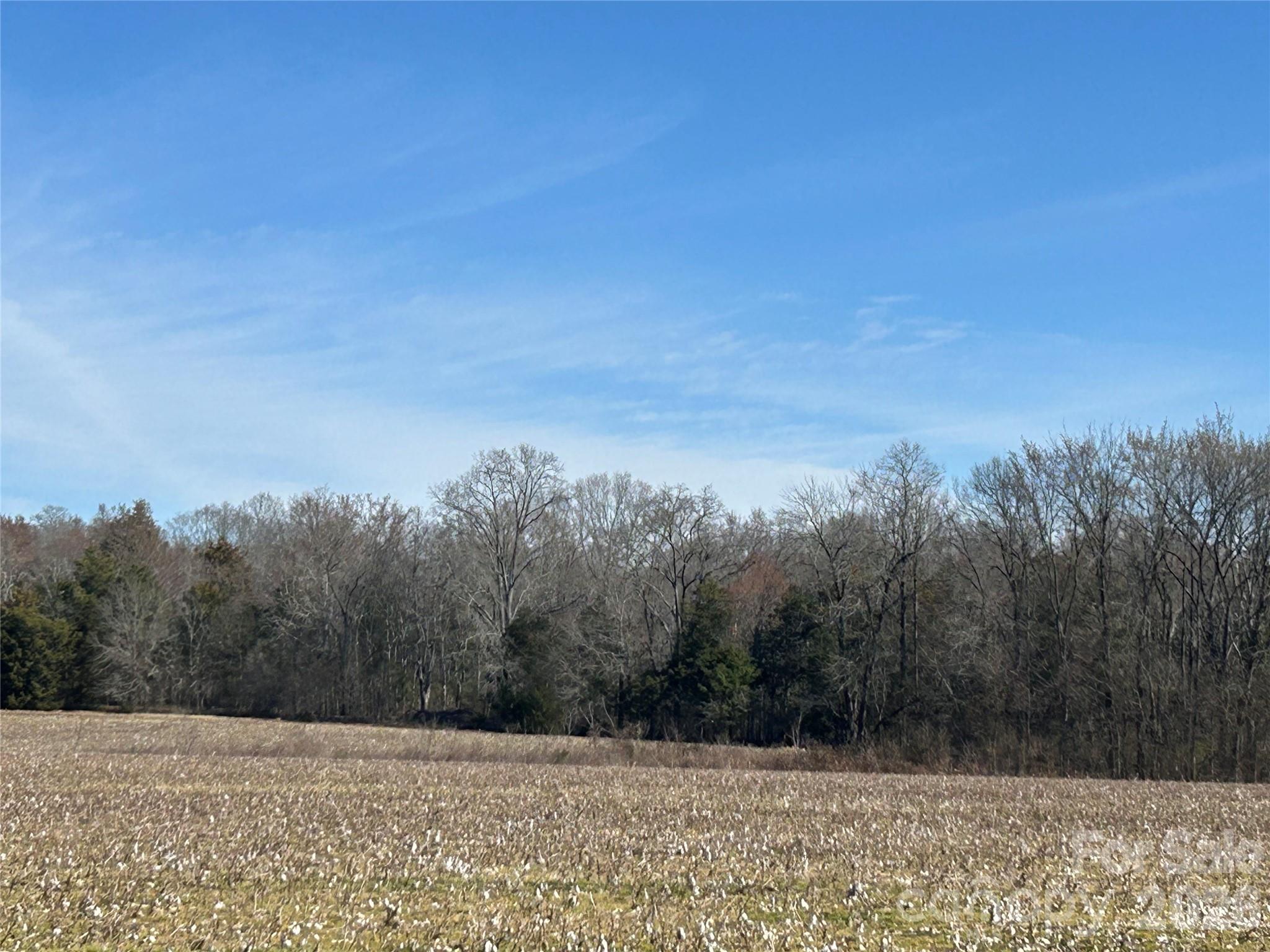 Acreage at 62 Ac Bridgewater Road, Rock Hill, photo 42 of 45