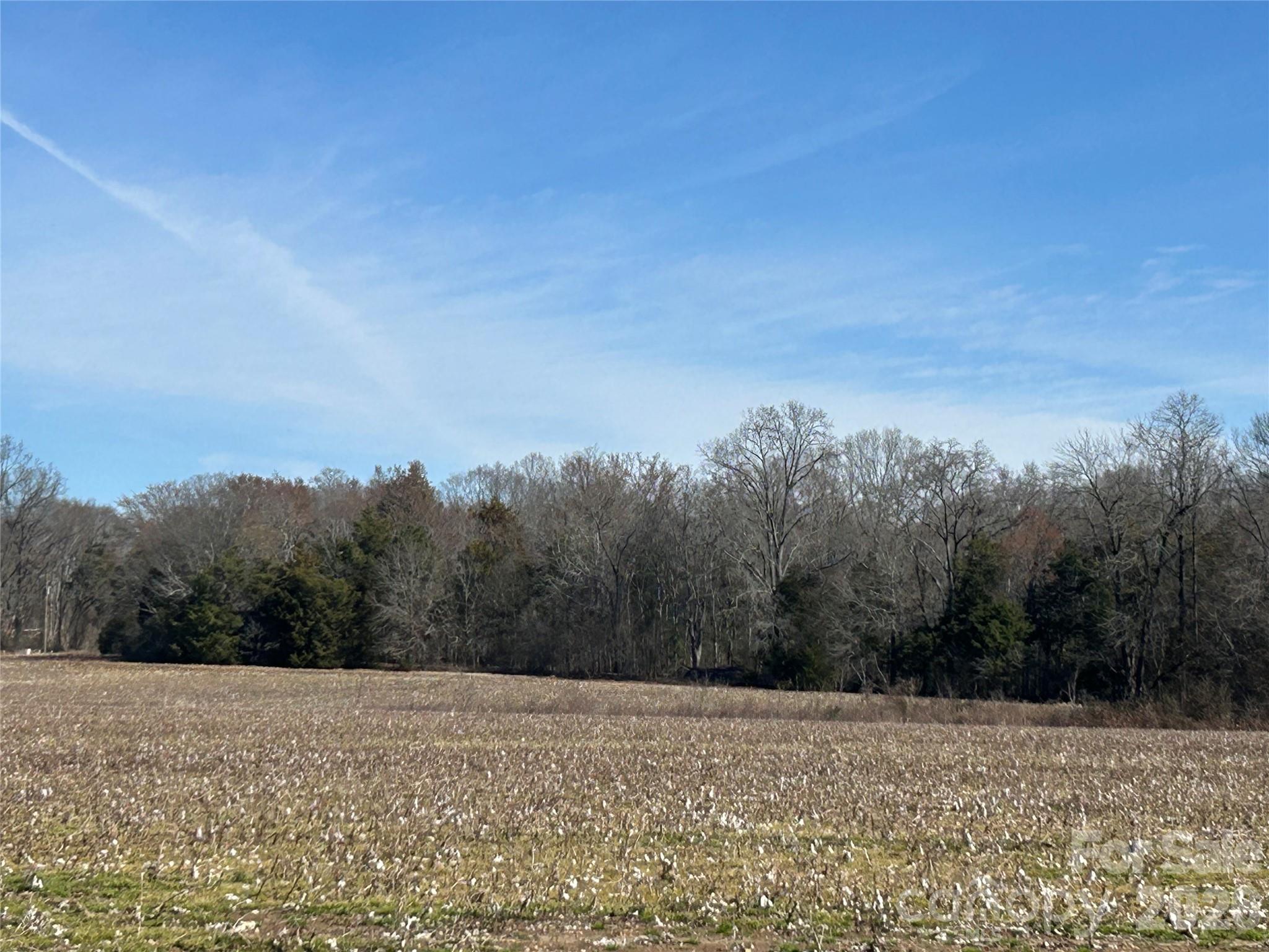 Acreage at 62 Ac Bridgewater Road, Rock Hill, photo 43 of 45