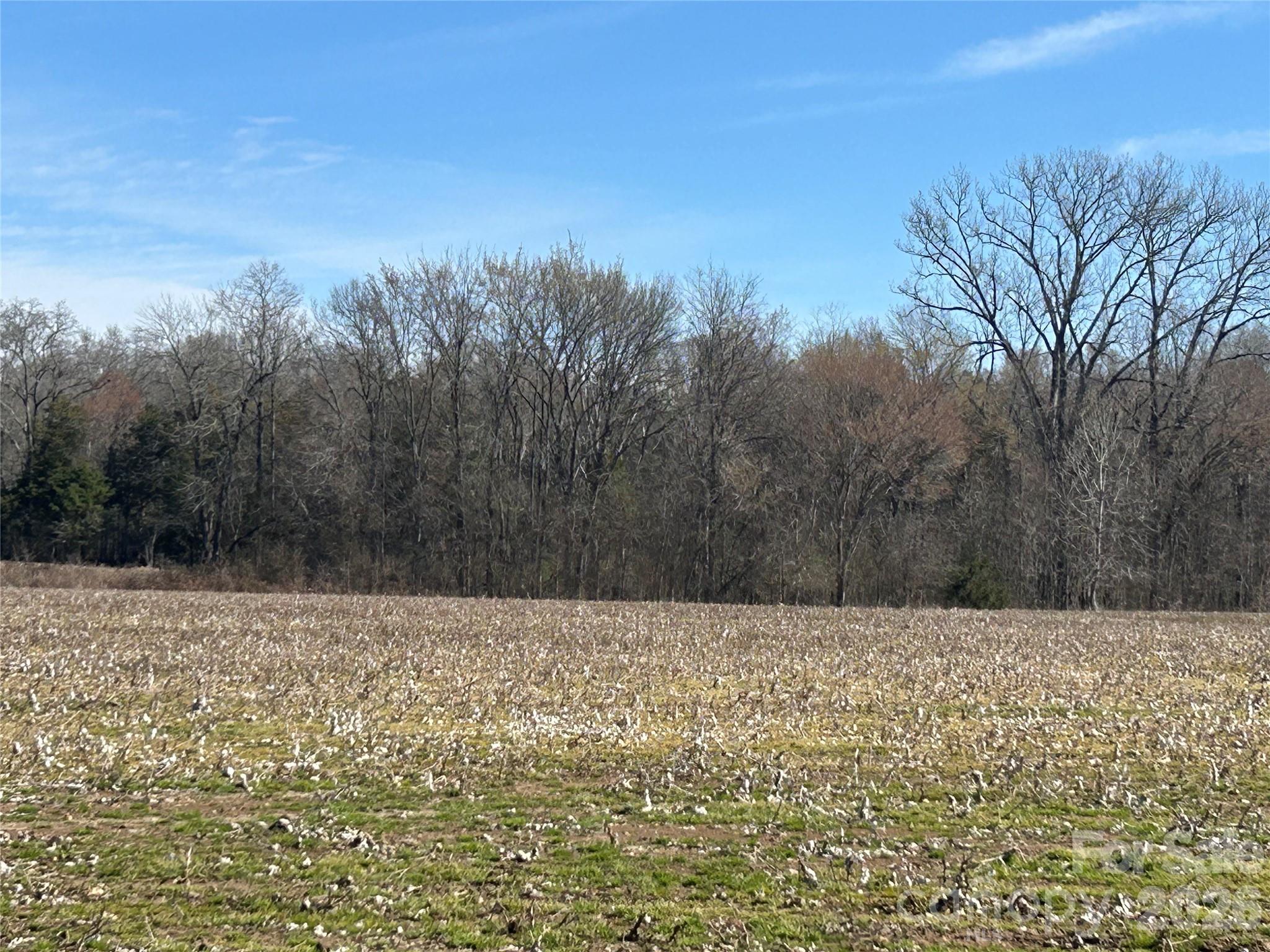 Acreage at 62 Ac Bridgewater Road, Rock Hill, photo 44 of 45