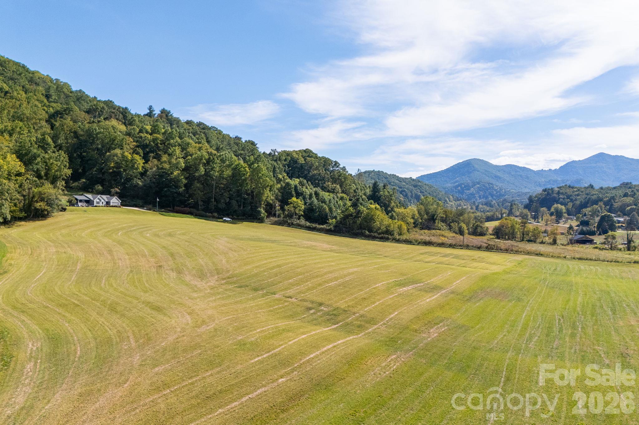 Single Family Residence at 422 S Turkey Creek Road, Leicester, photo 46 of 46