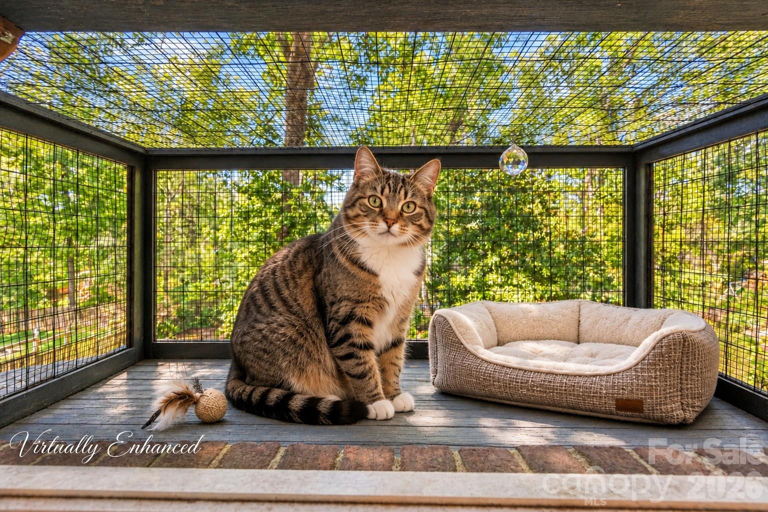 Virtually Staged - Built-in Catio (cat patio) - from Bedroom 2 Window - 525 East Street, Albemarle