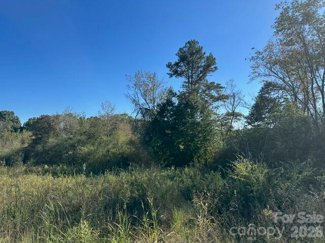 Acreage at 335 Kistler Road, Lawndale, photo 8 of 10