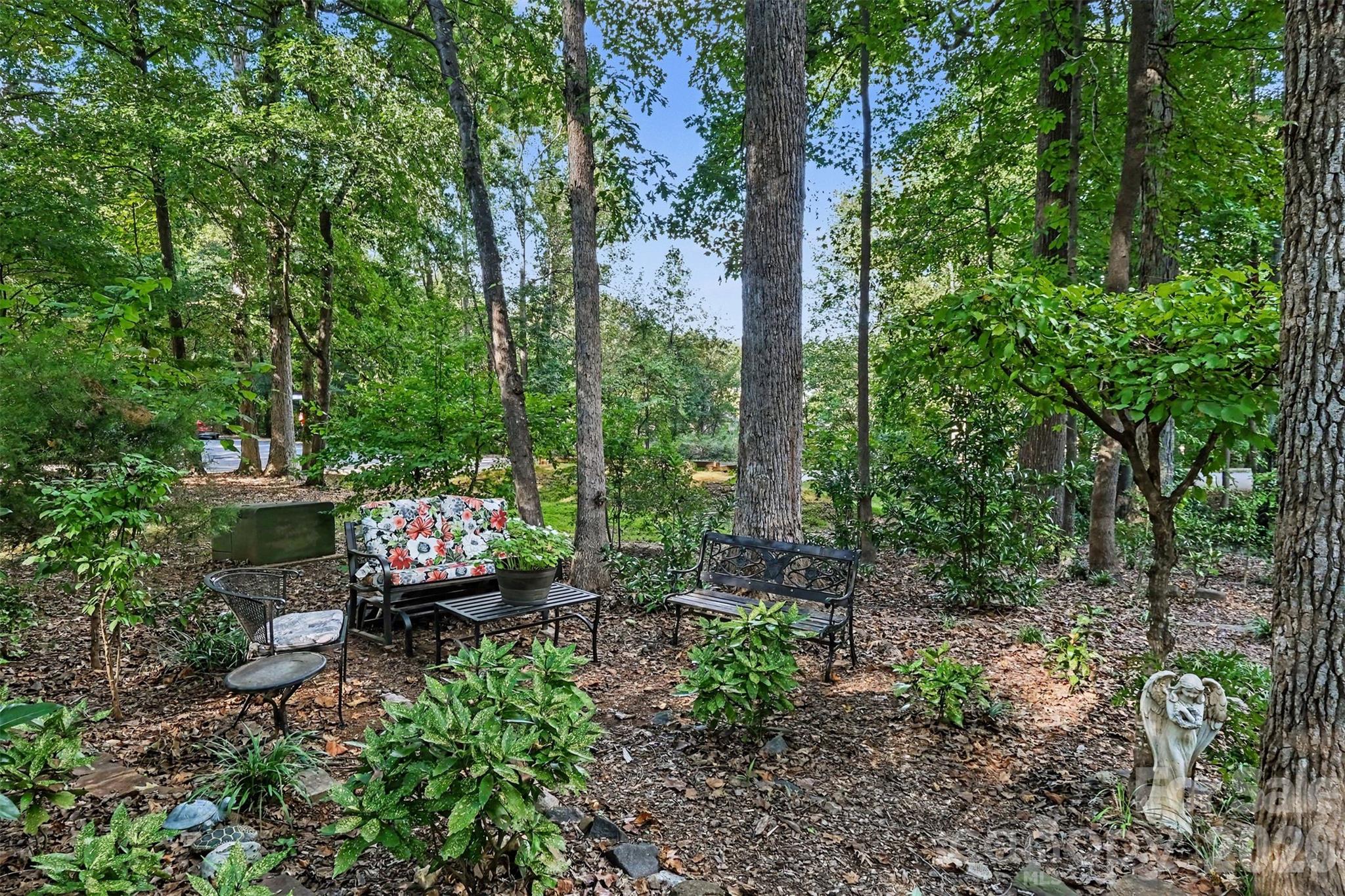 Side yard area - 2786 Dogwood Hills Court, Fort Mill