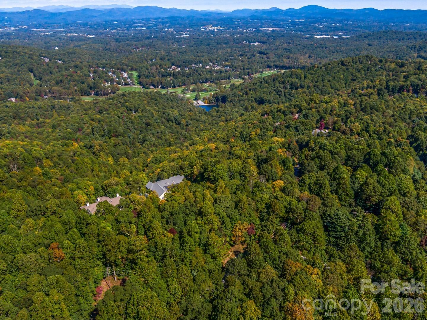 Lot at Lot 10 Berry Creek Drive, Flat Rock, photo 4 of 24