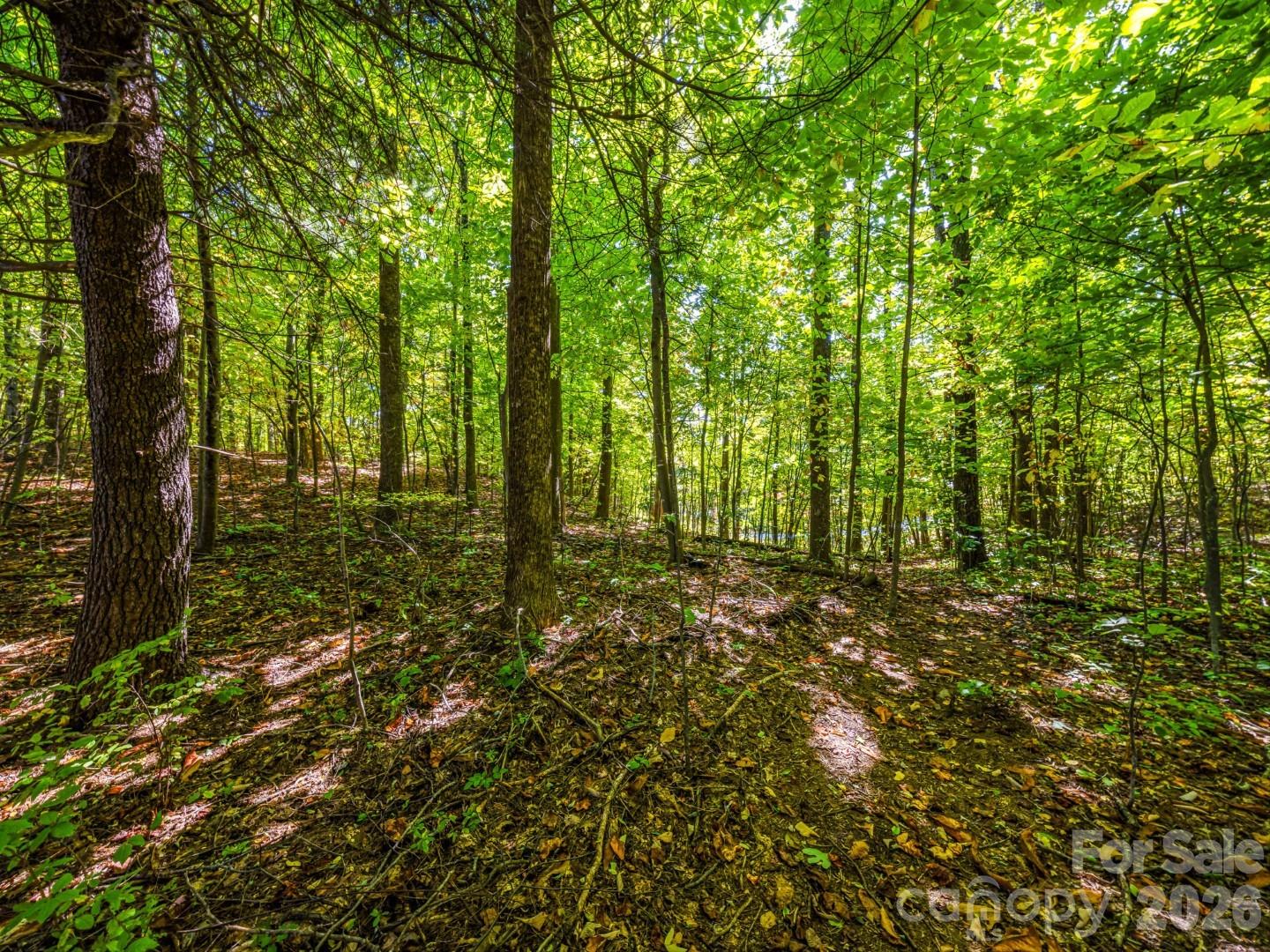 Lot at Lot 10 Berry Creek Drive, Flat Rock, photo 22 of 24