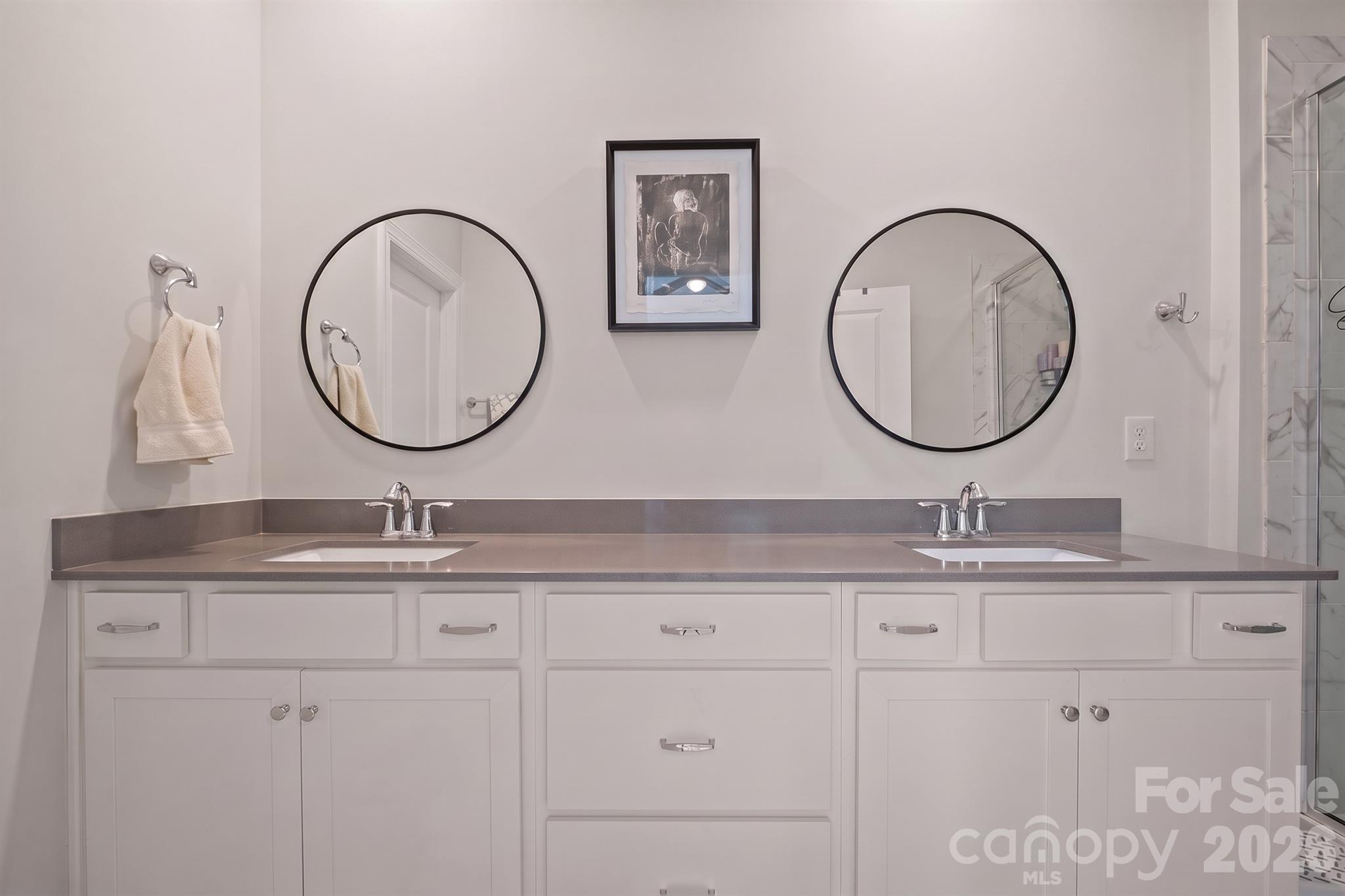Master Vanity - 197 Winding Cedar Drive, Statesville