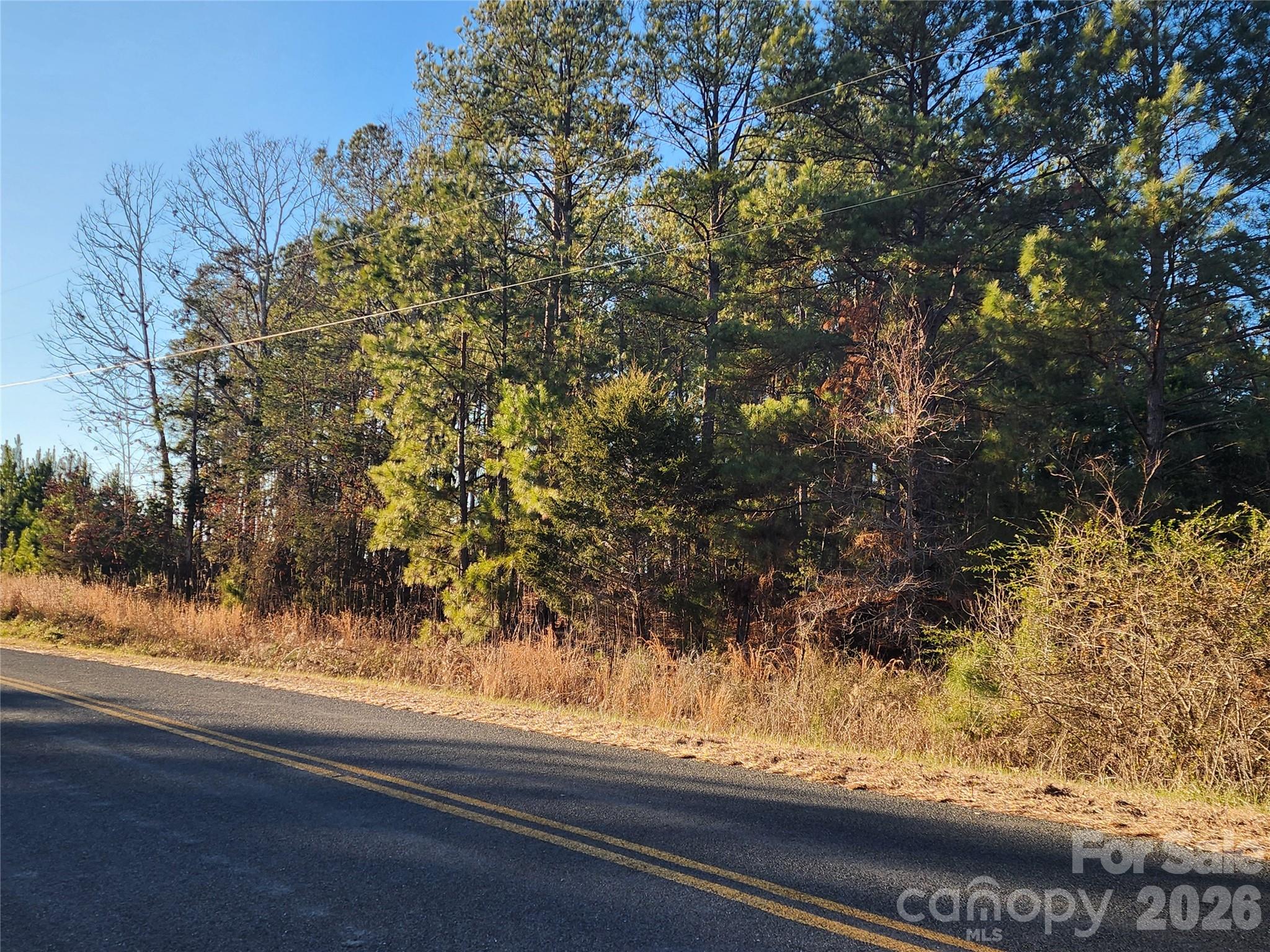 road view of 15 acre section - 1350 McKnight Road, Smyrna