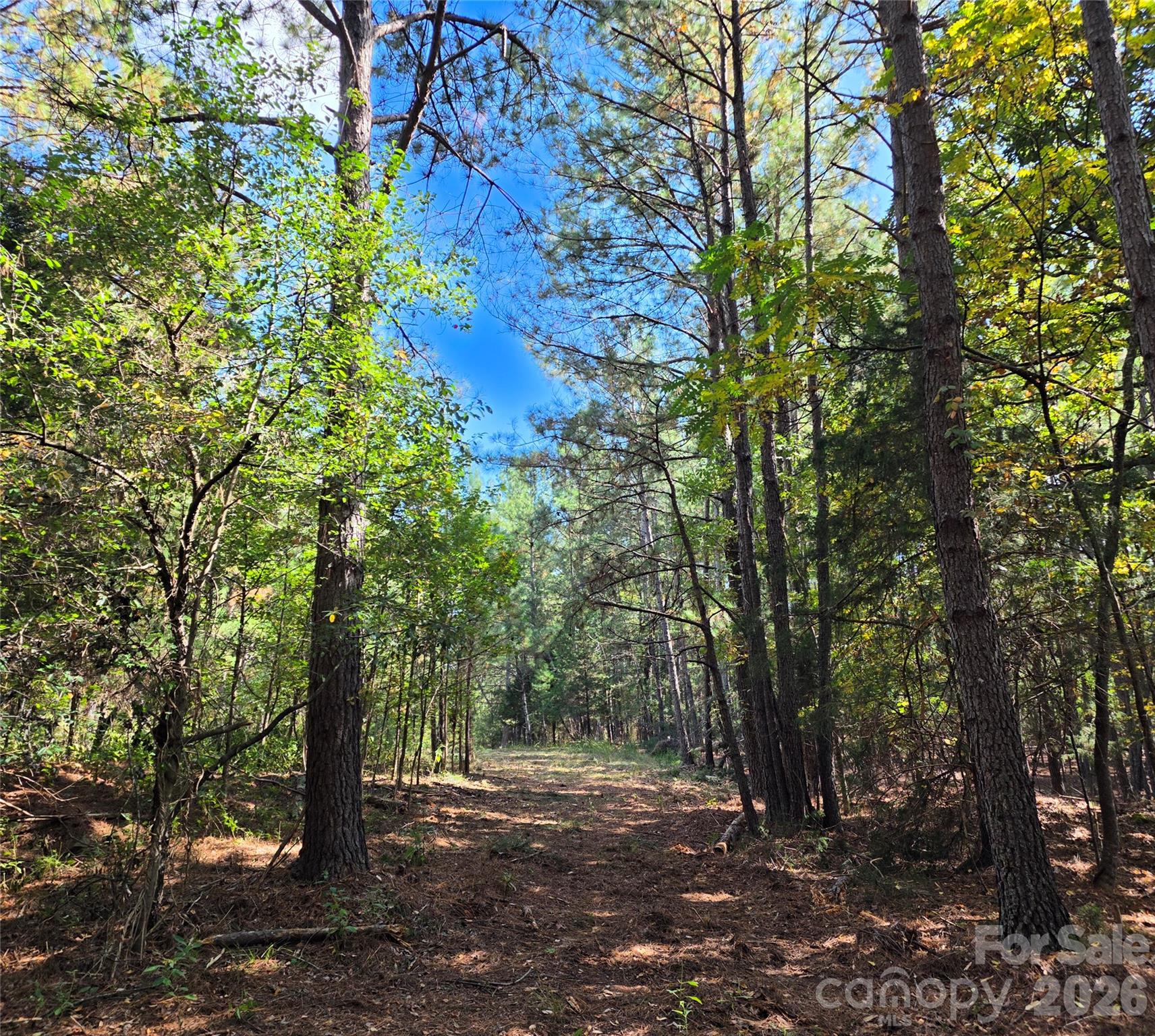trail - 1350 McKnight Road, Smyrna