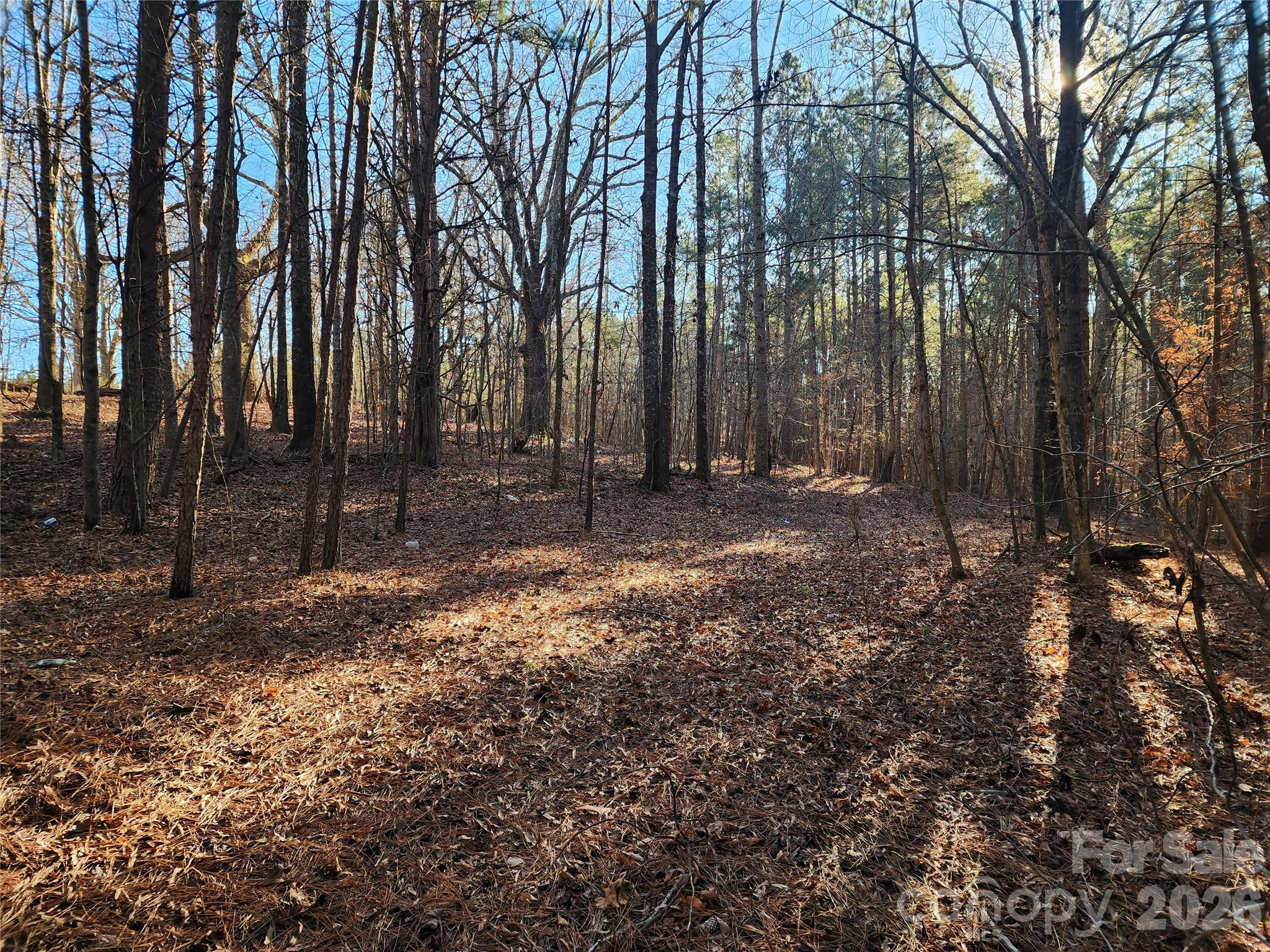 ridge for home site - 1350 McKnight Road, Smyrna