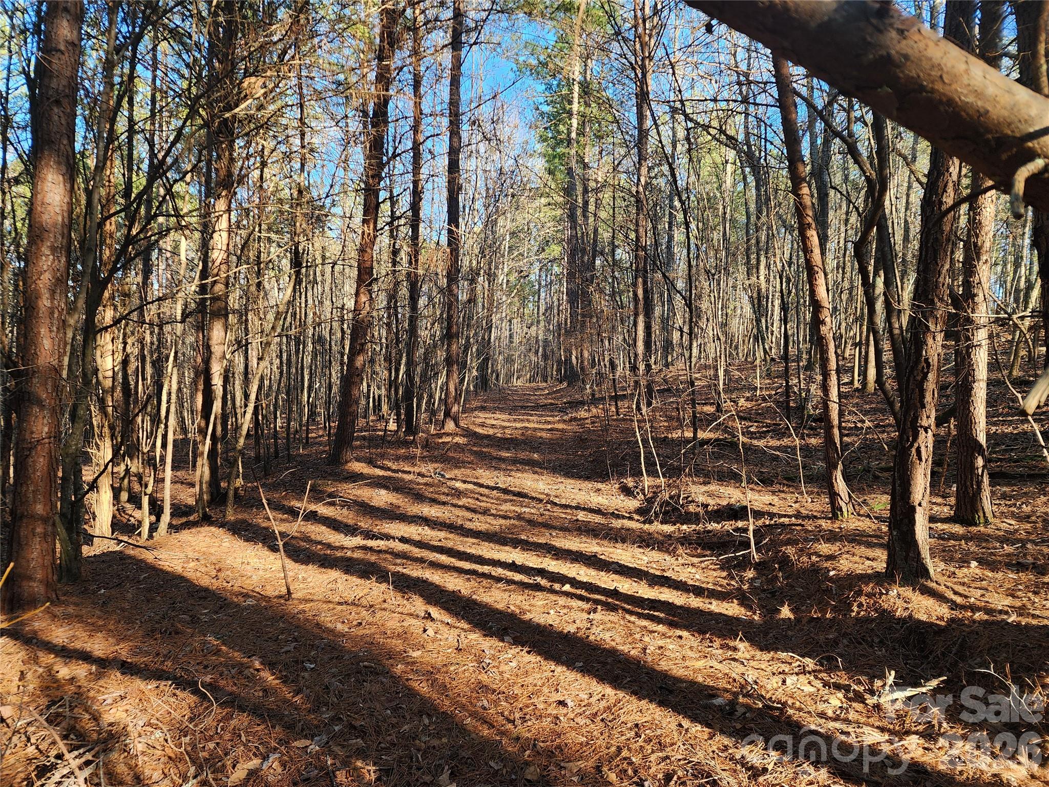 trail - 1350 McKnight Road, Smyrna