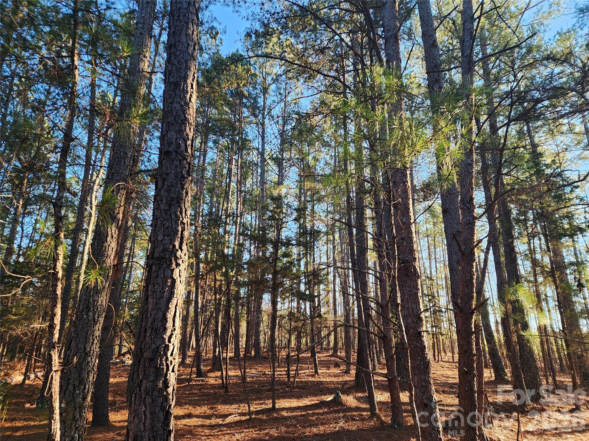 Nice Pines - 1350 McKnight Road, Smyrna