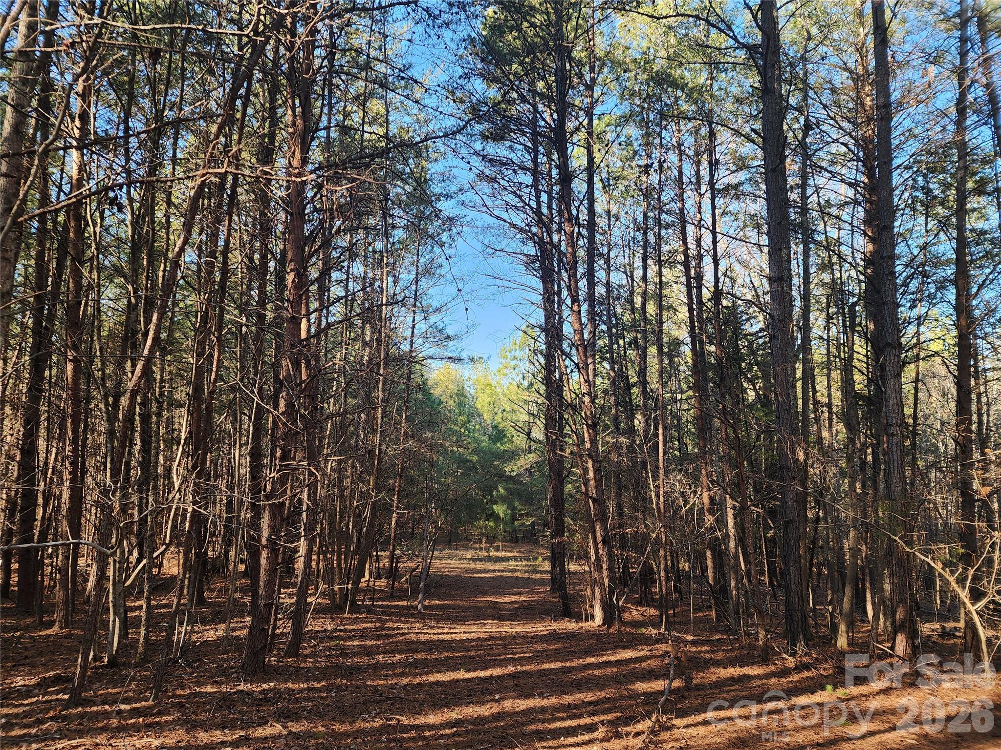 trail - 1350 McKnight Road, Smyrna