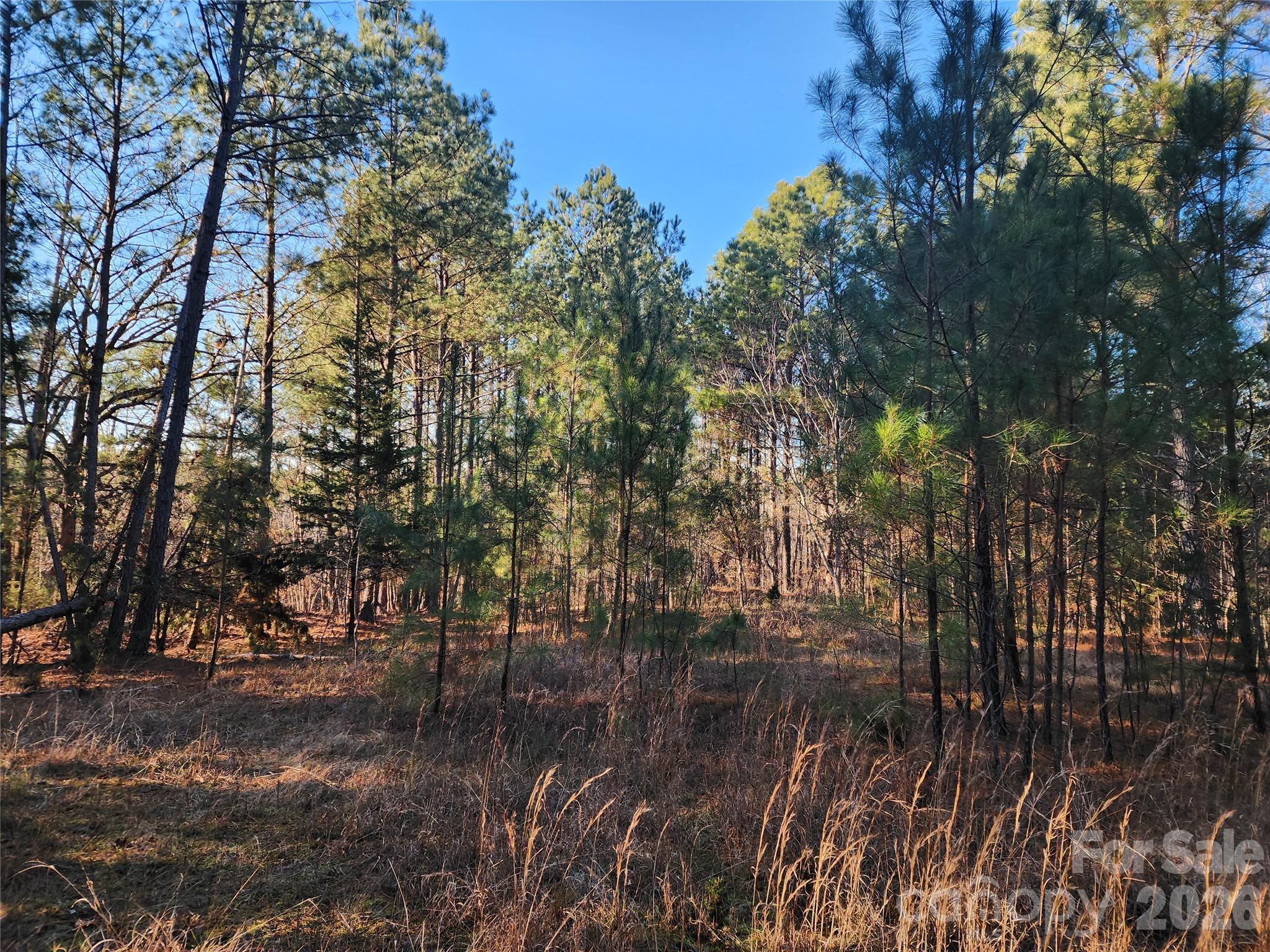 Acreage at 1350 McKnight Road, Smyrna, photo 21 of 47