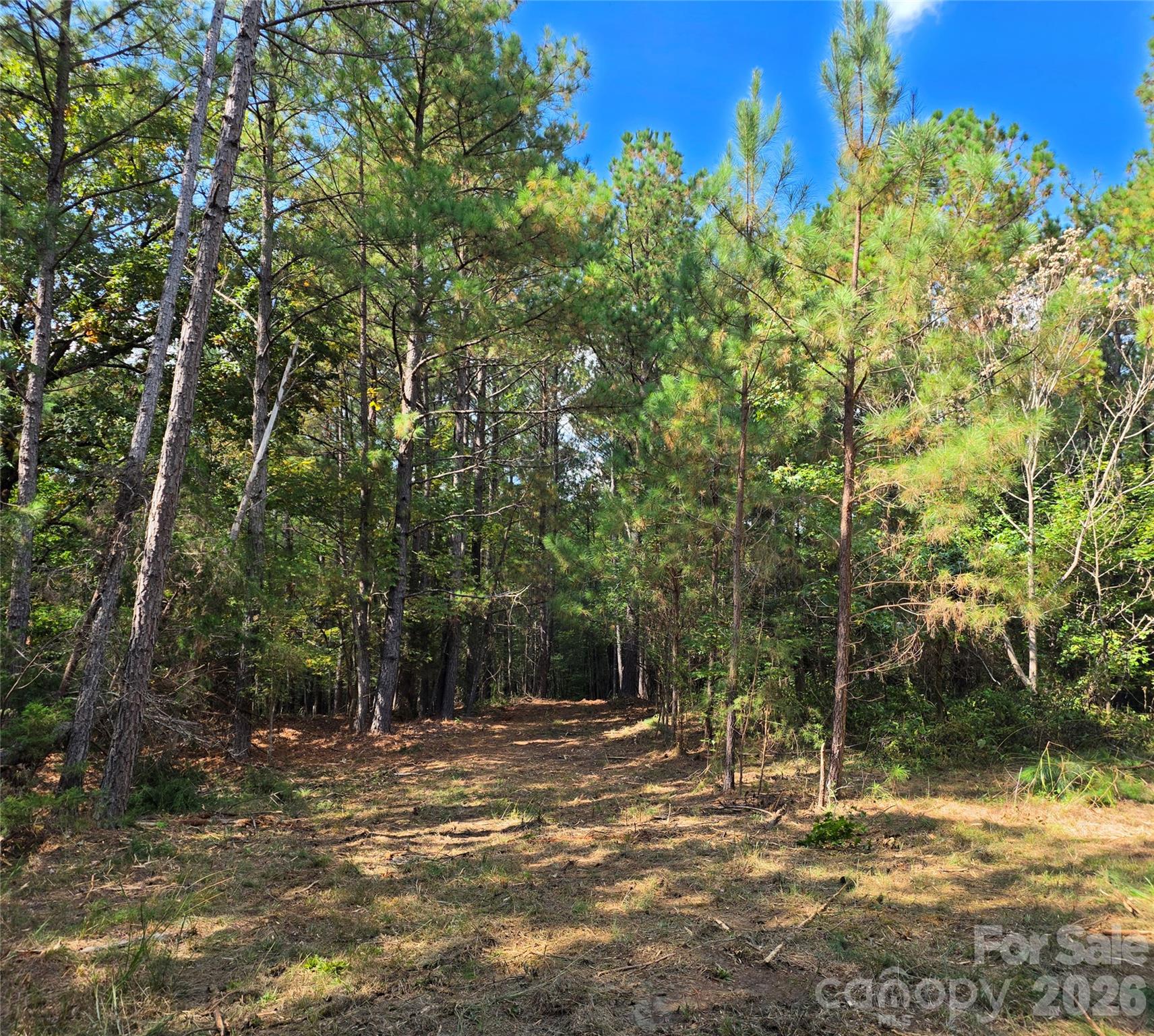 trail into the woods - 1350 McKnight Road, Smyrna