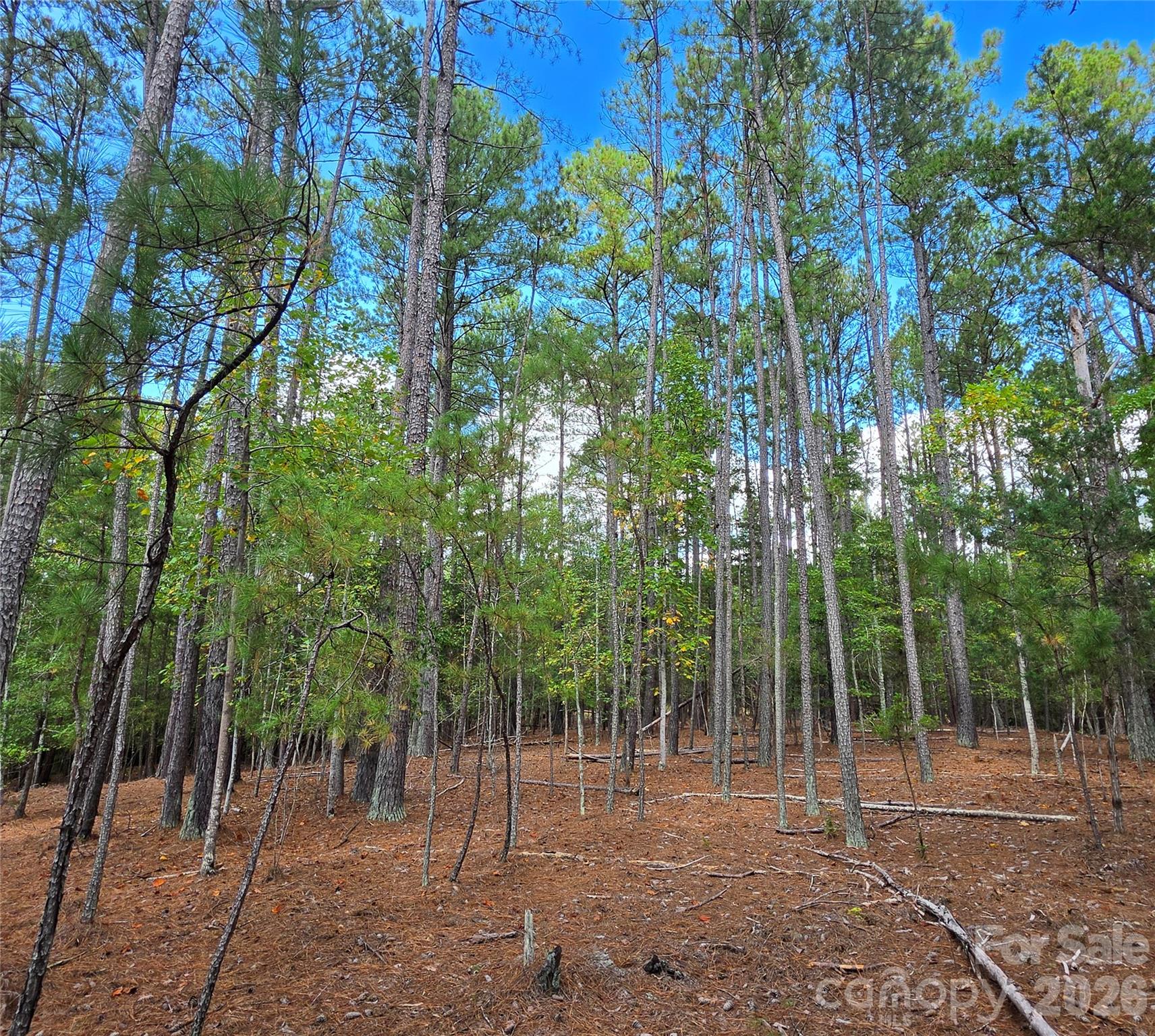 woods - 1350 McKnight Road, Smyrna