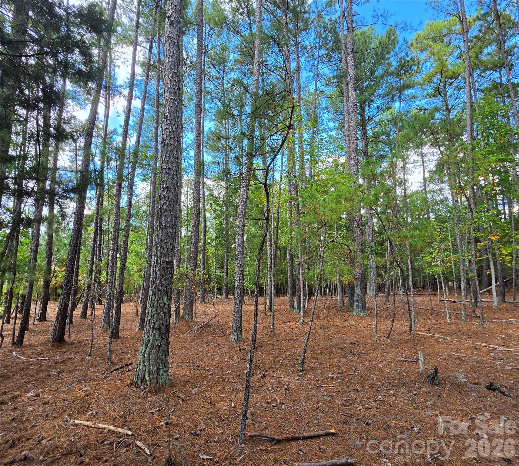 woods - 1350 McKnight Road, Smyrna