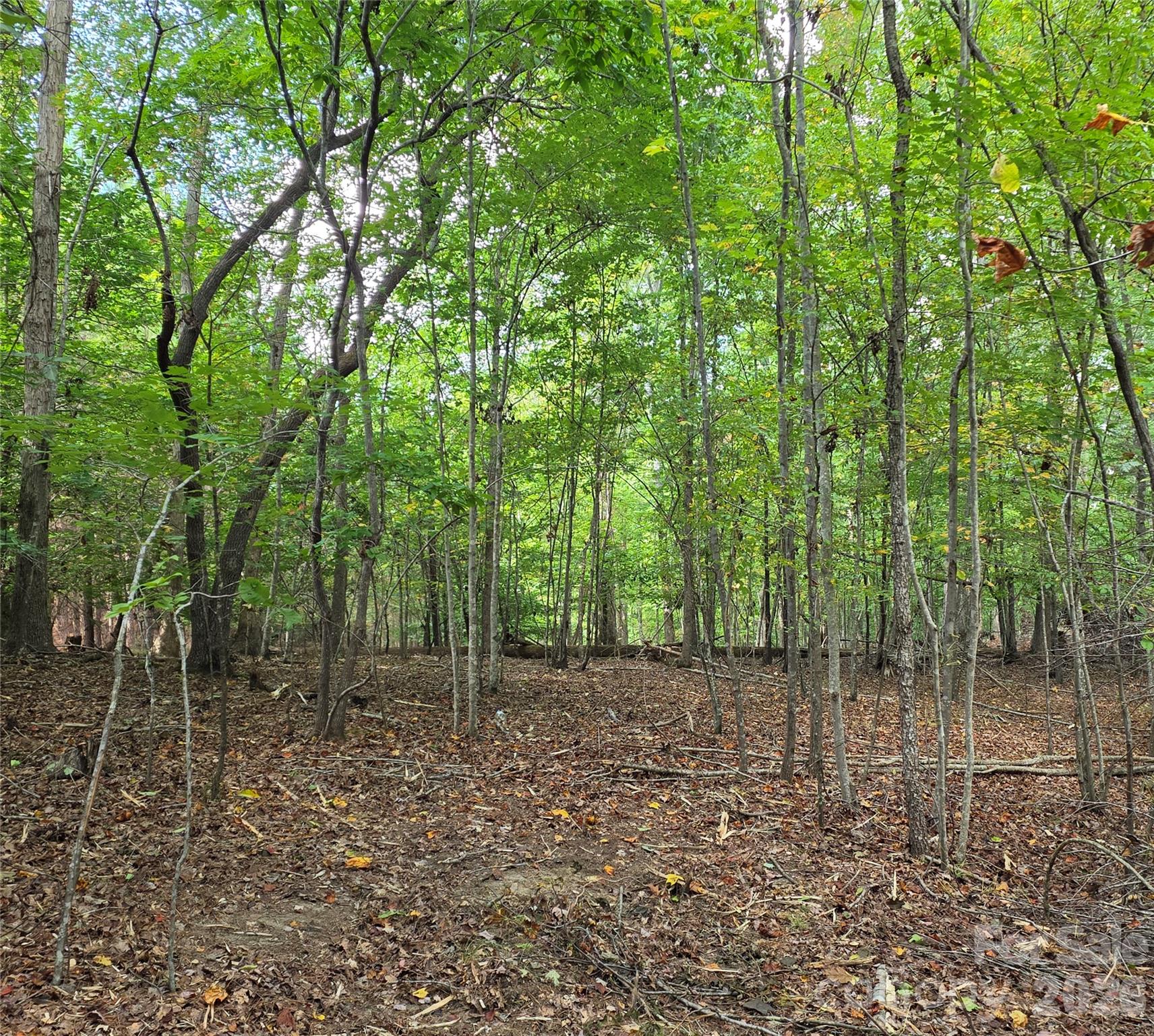 woods - 1350 McKnight Road, Smyrna