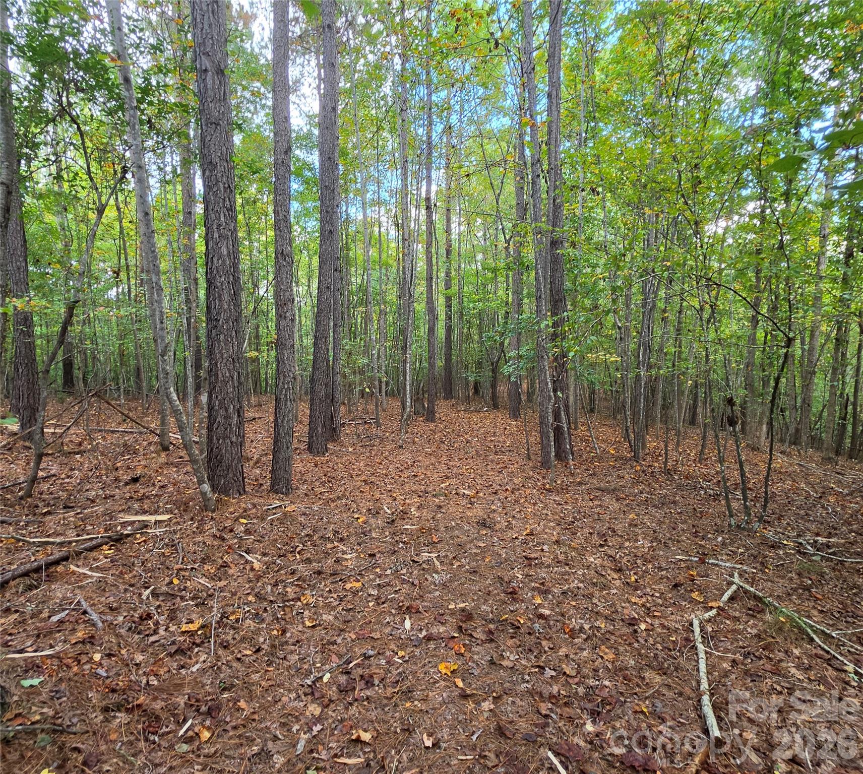 woods - 1350 McKnight Road, Smyrna