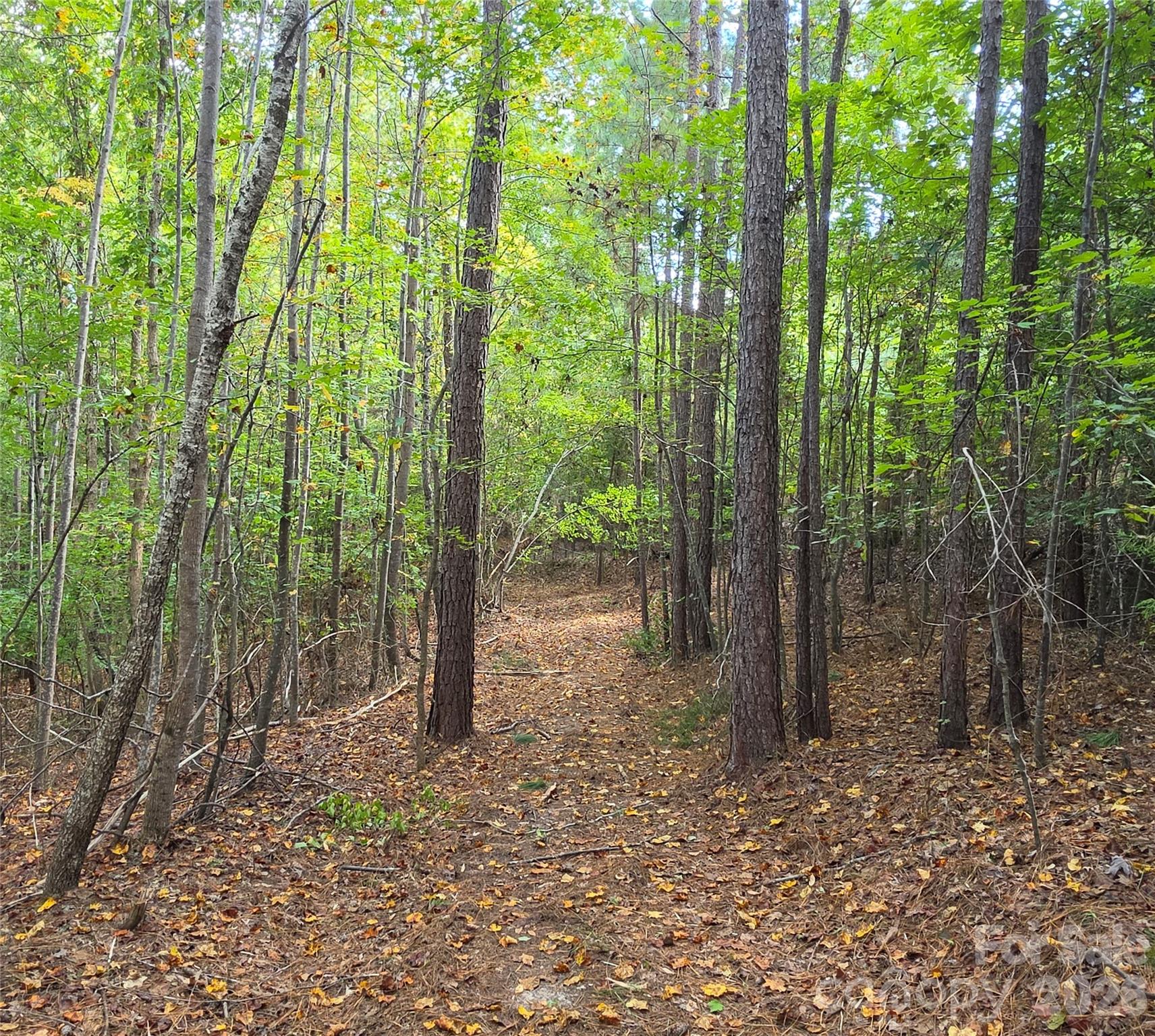 trail - 1350 McKnight Road, Smyrna