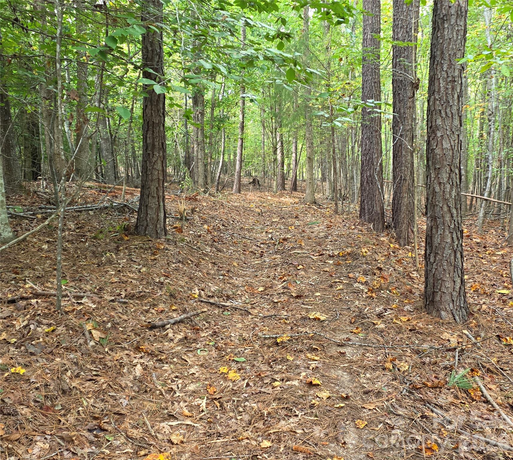 trail - 1350 McKnight Road, Smyrna