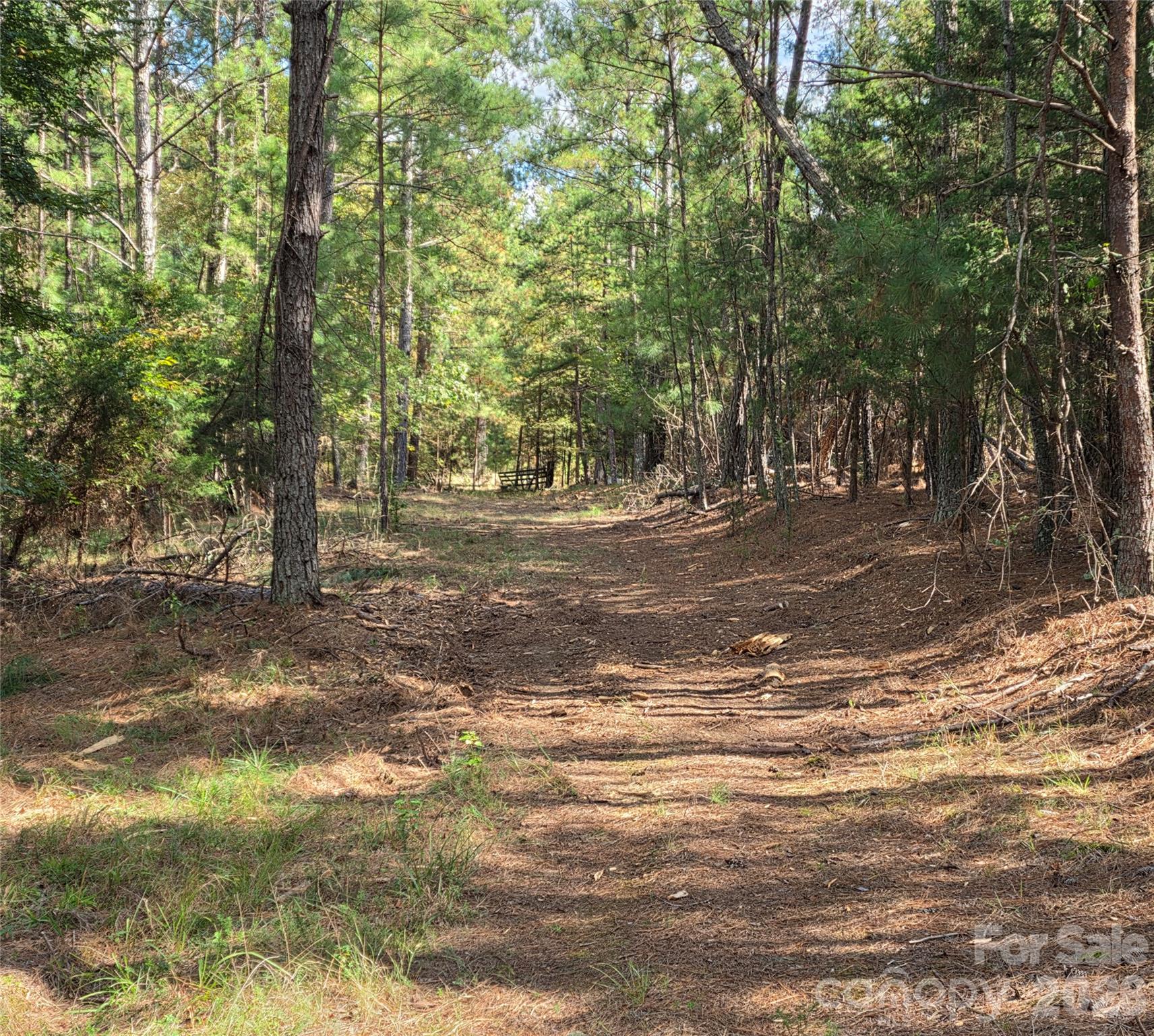 trail potential driveway - 1350 McKnight Road, Smyrna