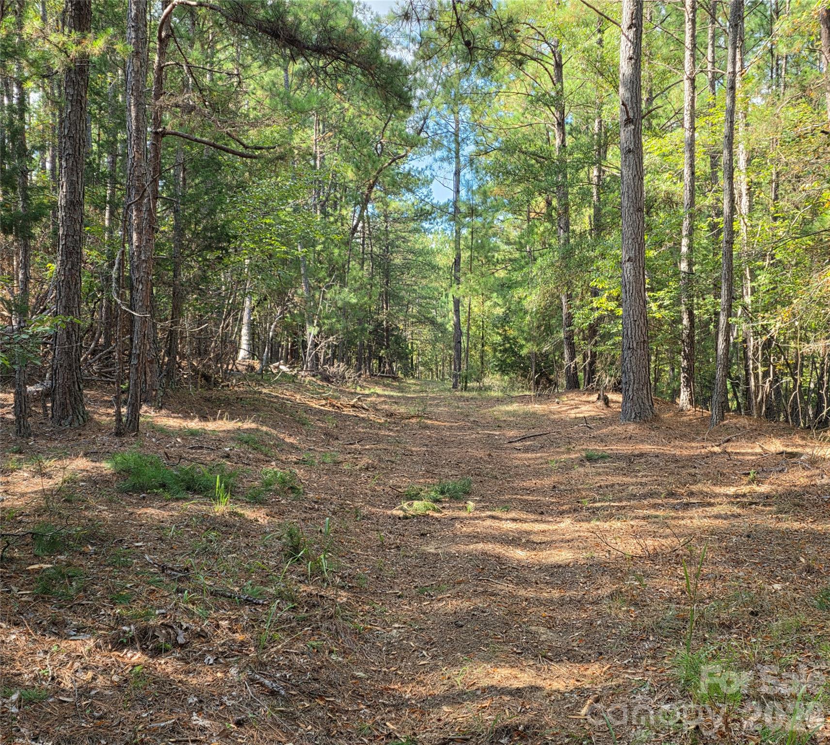 driveway - 1350 McKnight Road, Smyrna