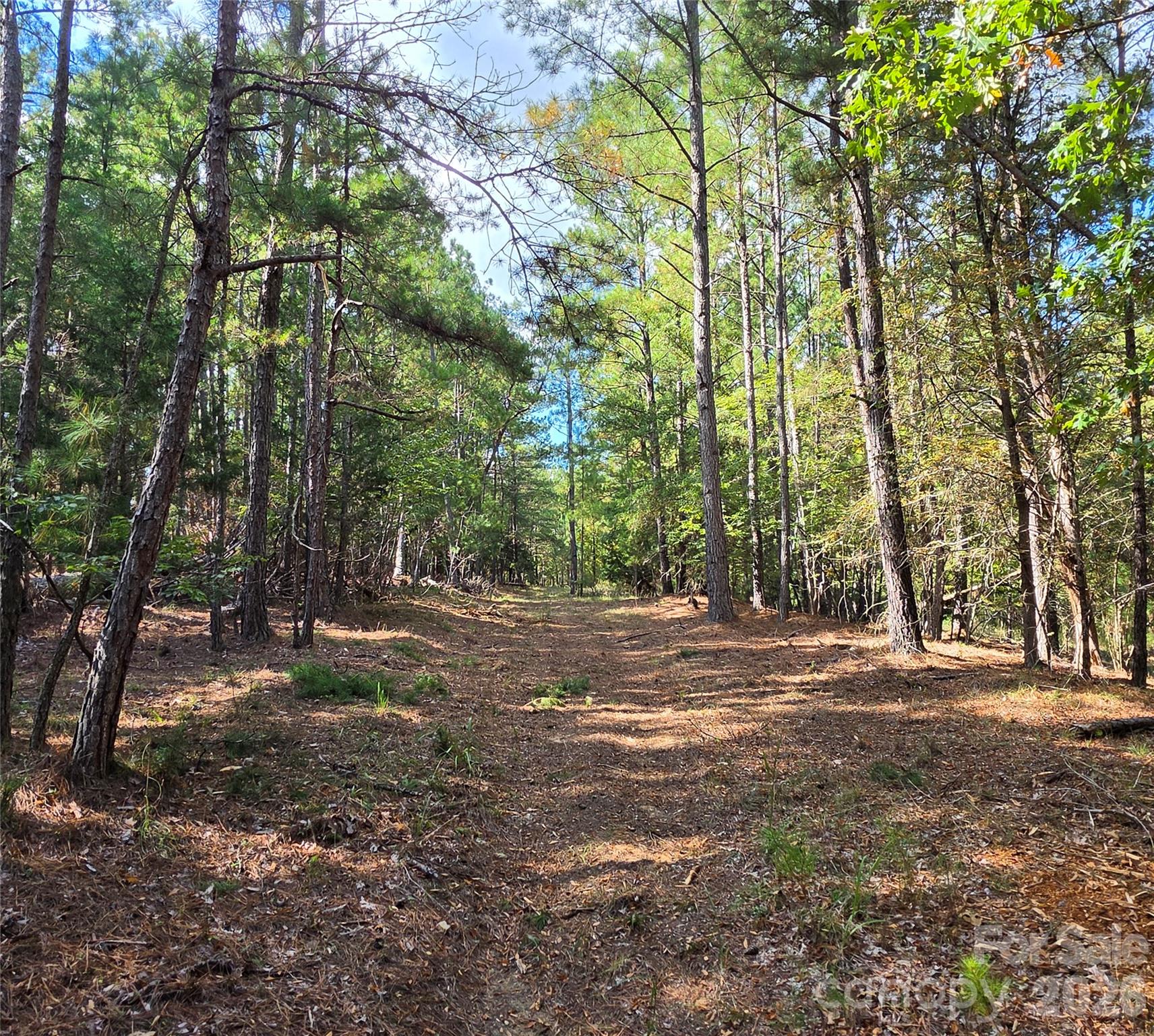 driveway - 1350 McKnight Road, Smyrna