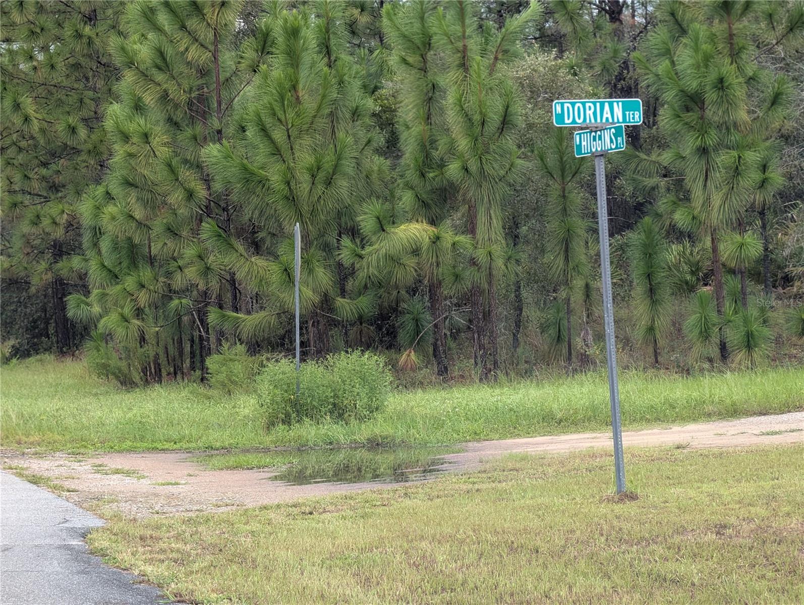 6443 N DORIAN TER
