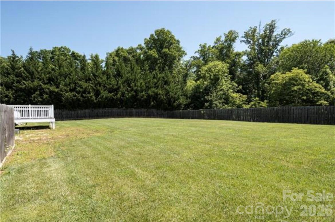 And the level yard is perfect for anything you want to do. - 224 Pete Luther Road, Candler