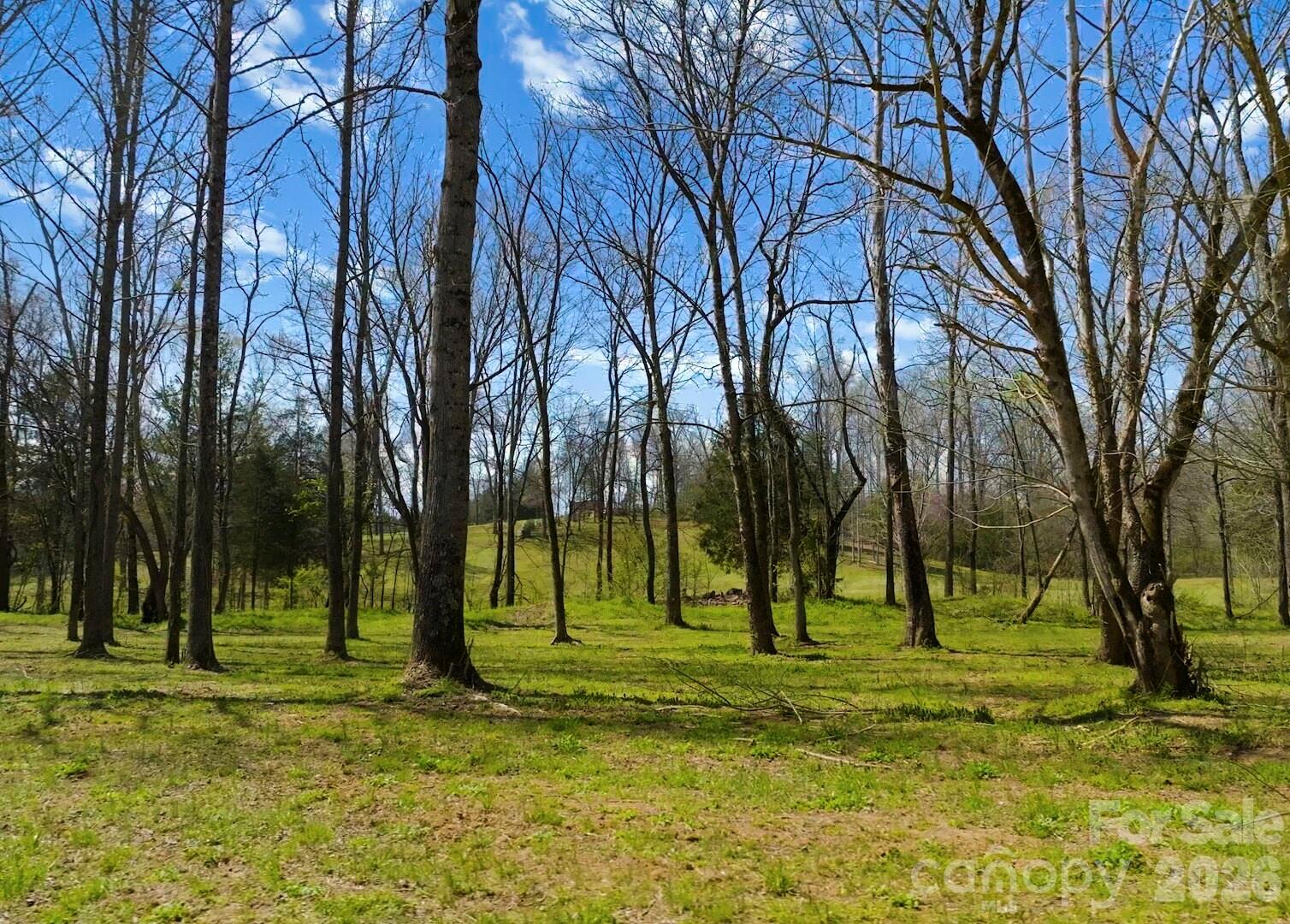 Acreage at 634 Patterson Farm Road, Mooresville, photo 8 of 19
