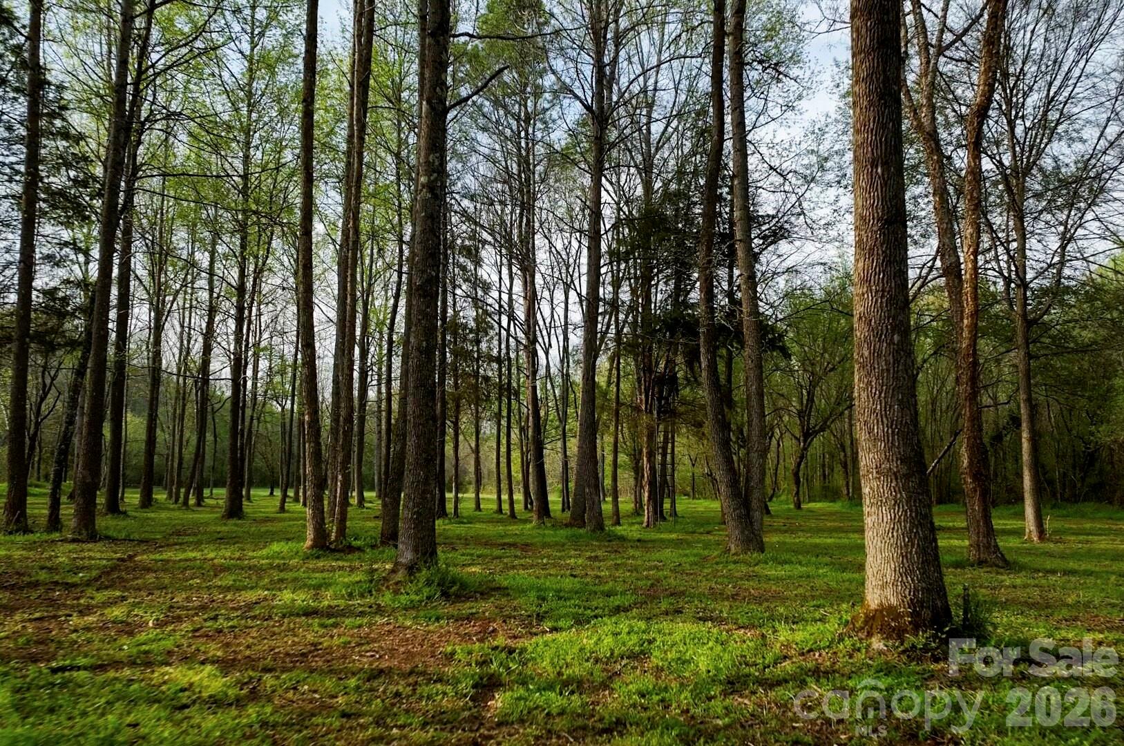 Acreage at 634 Patterson Farm Road, Mooresville, photo 11 of 19