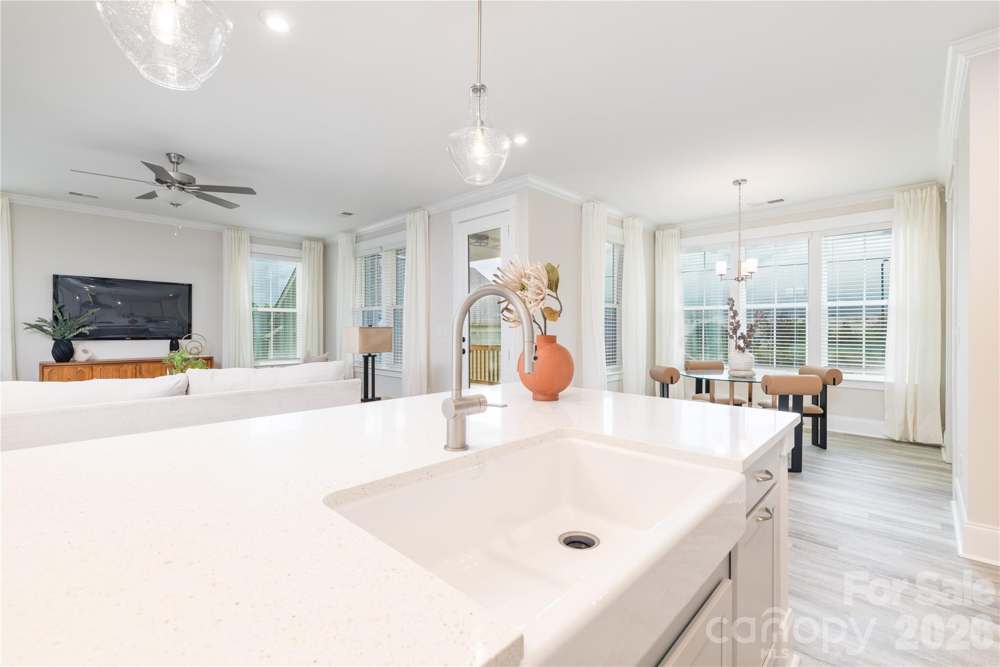 Single Family Residence at 287 Luray Way, Rock Hill, photo 12 of 43