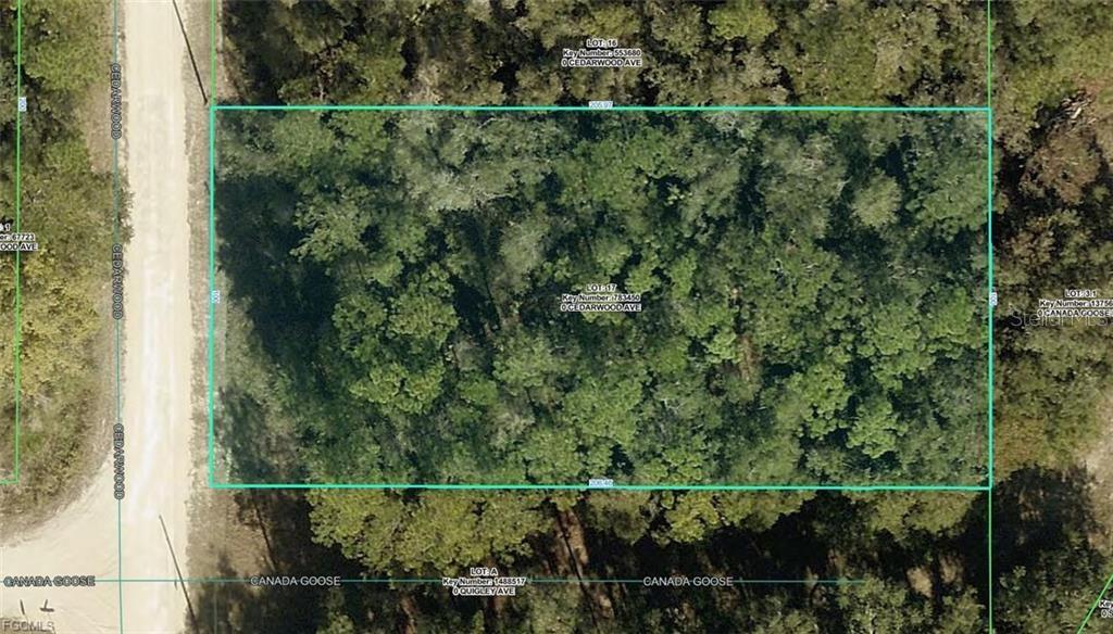 Land at R01-221-17-3357-5520-0170 CEDARWOOD AVE, WEEKI WACHEE