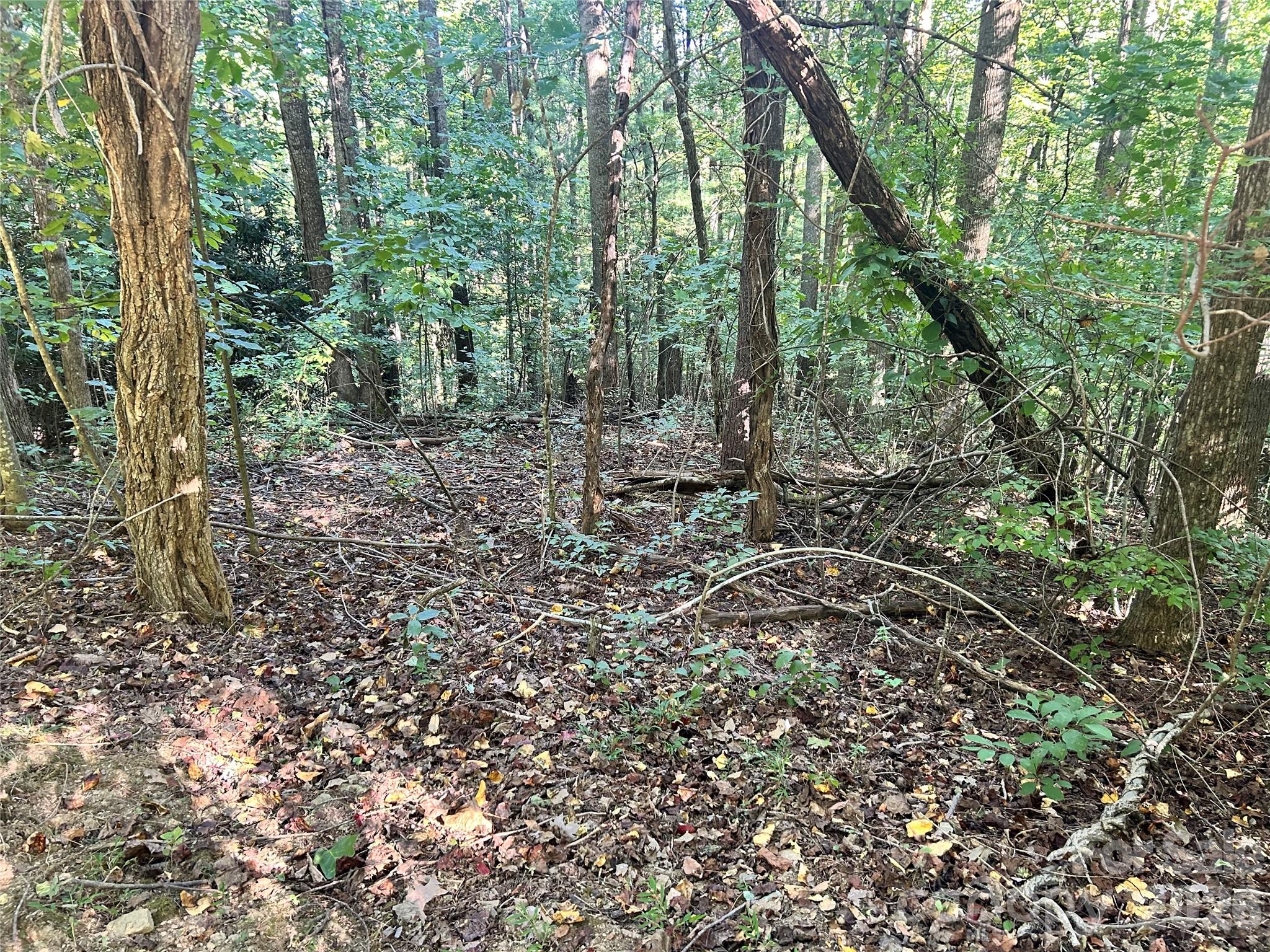 Lot at TBD Mt Hebron Road, Hendersonville, photo 2 of 8