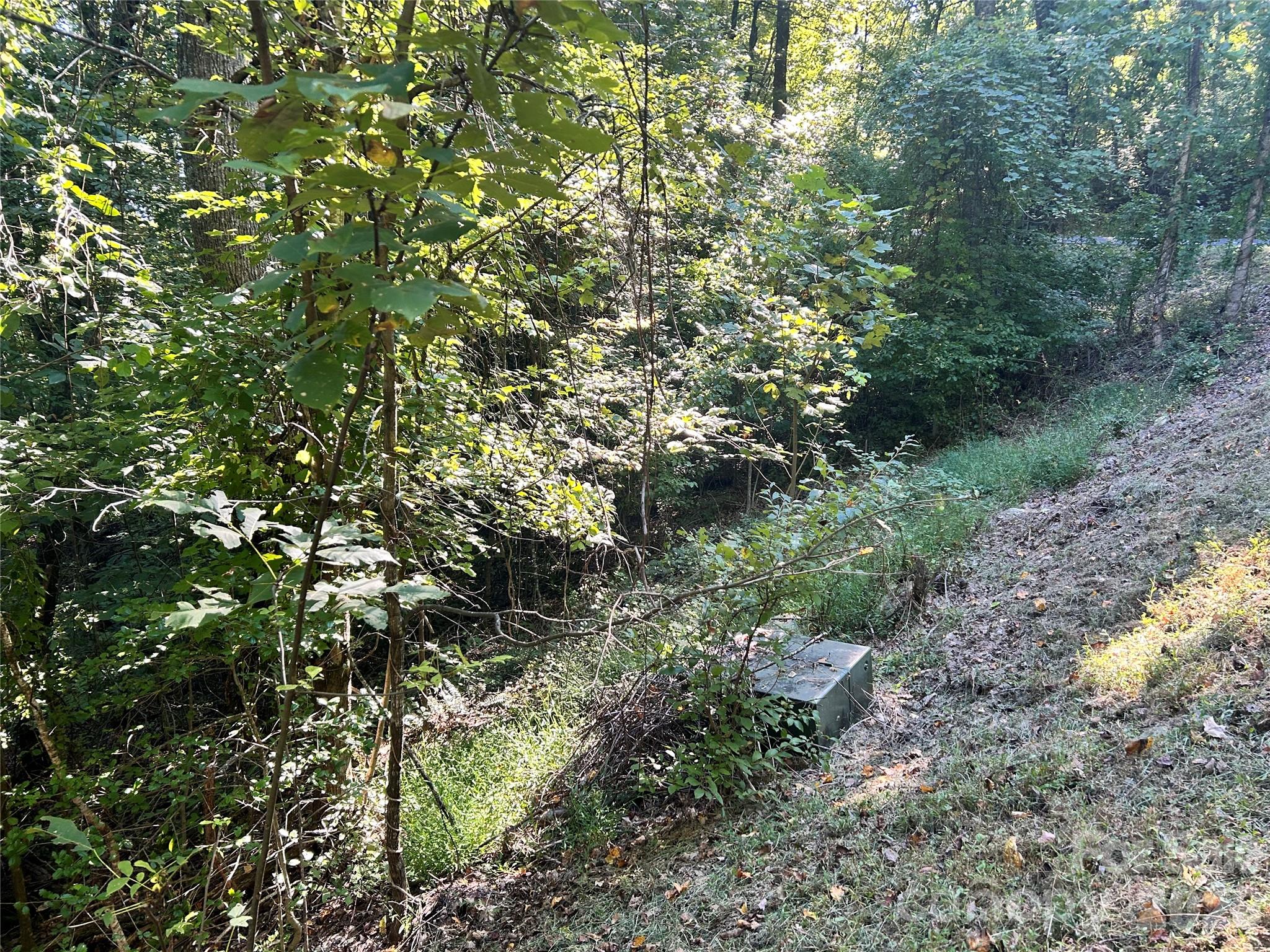 Lot at TBD Mt Hebron Road, Hendersonville, photo 3 of 8