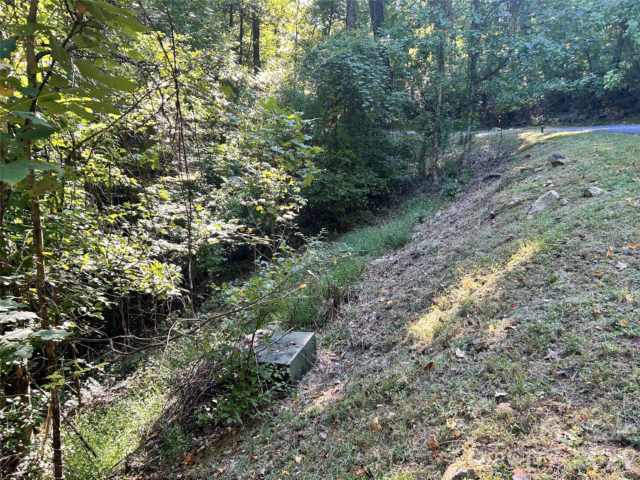 Lot at TBD Mt Hebron Road, Hendersonville, photo 4 of 8